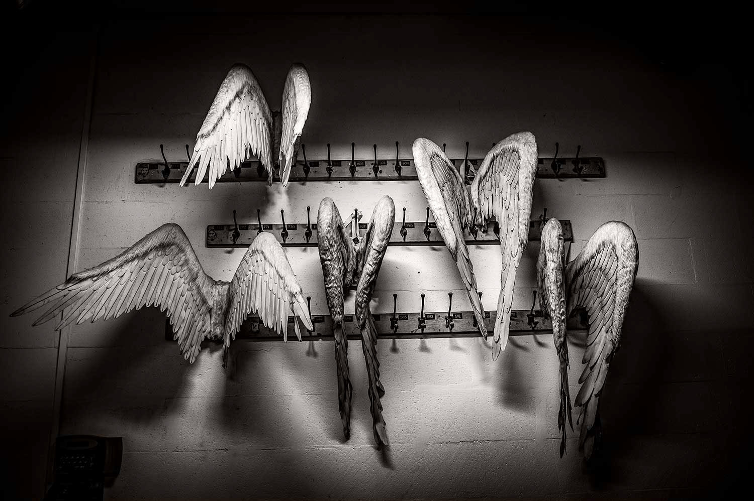 ANGEL WINGS DEPOSIT