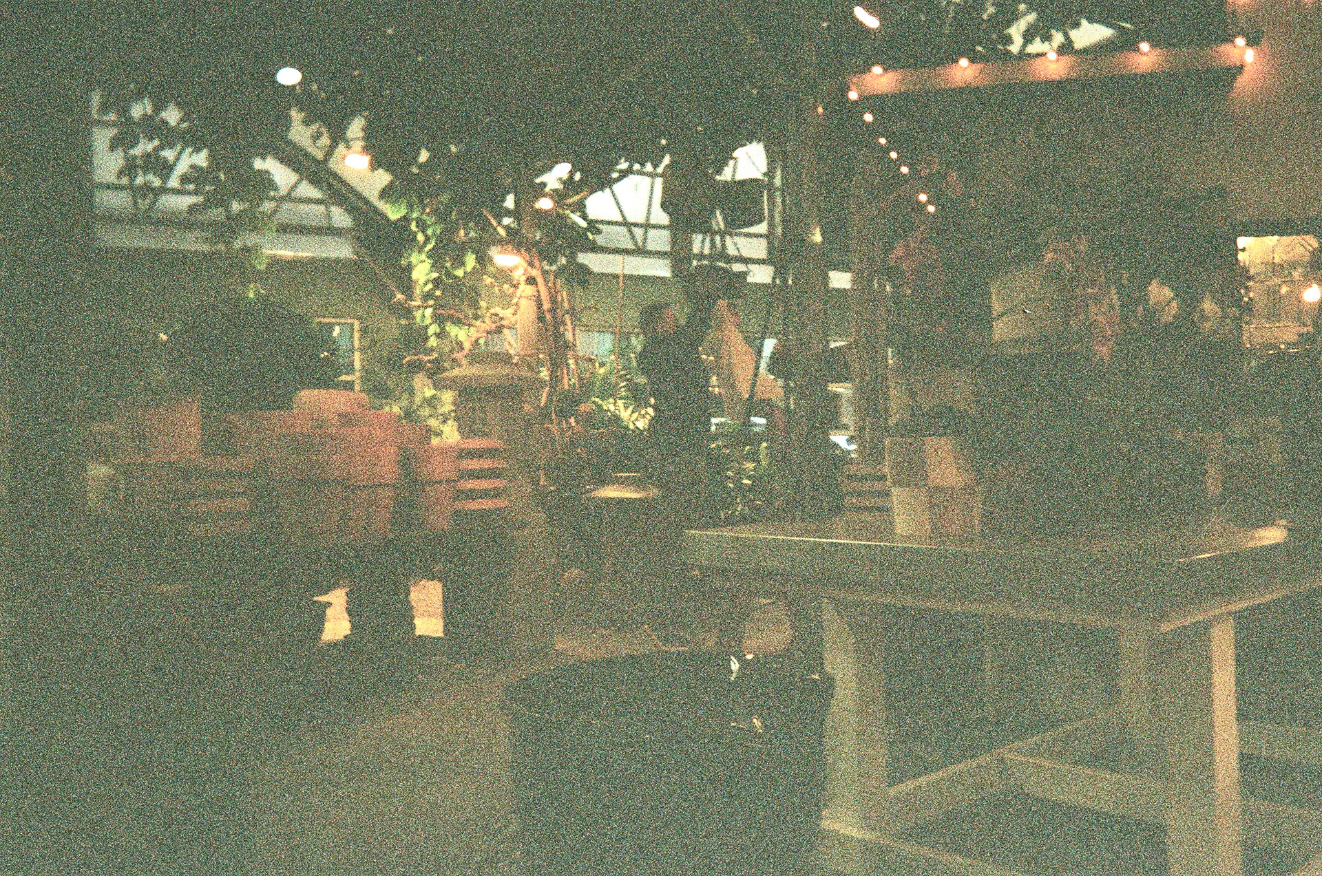 Cactus and Tropicals in Draper