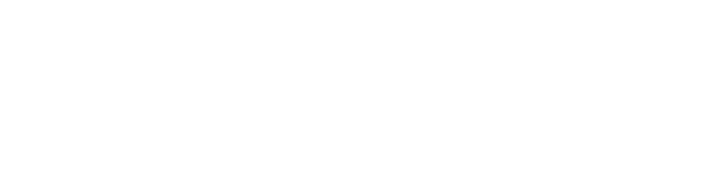 Steven Spinelli