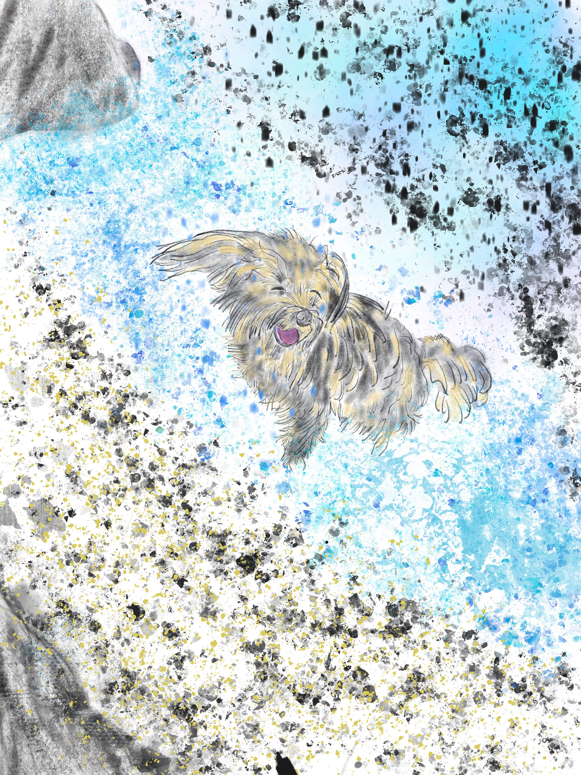 My Dog Newt at Fiesta Island in San Diego, CA