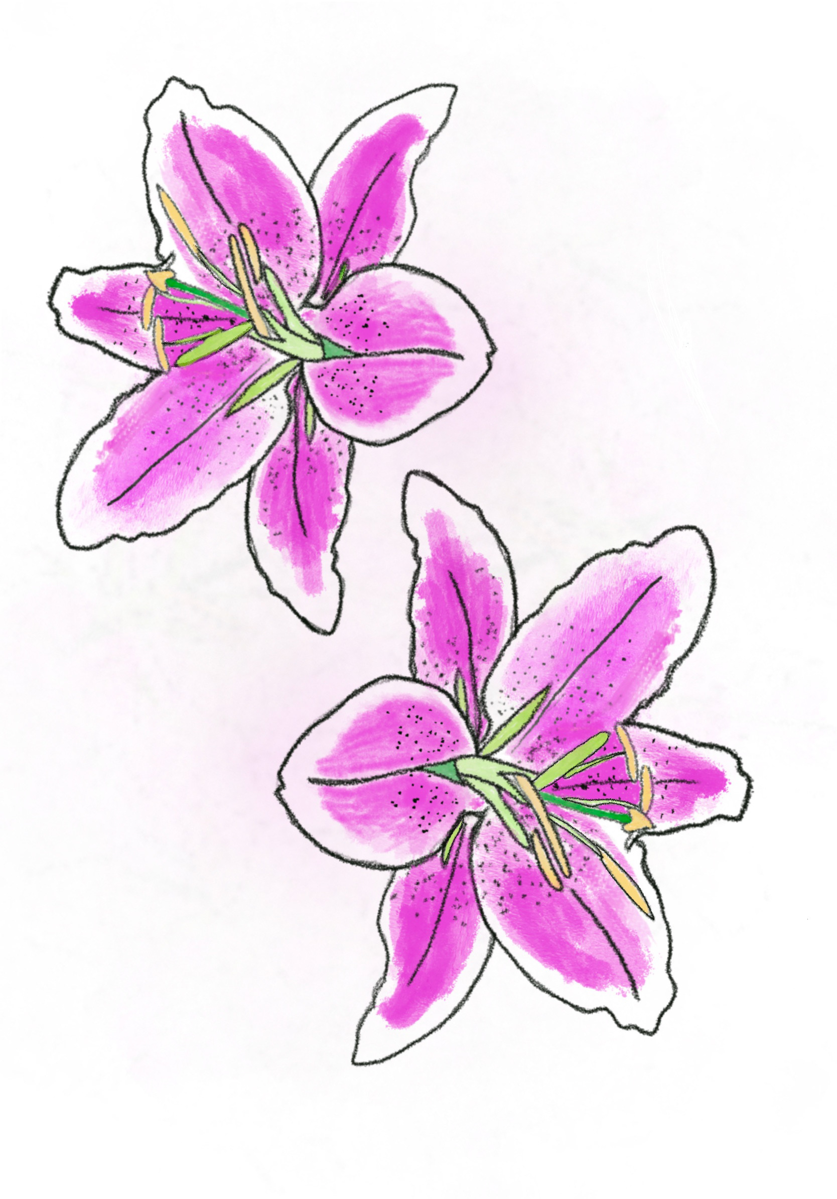 Flowers from a Funeral