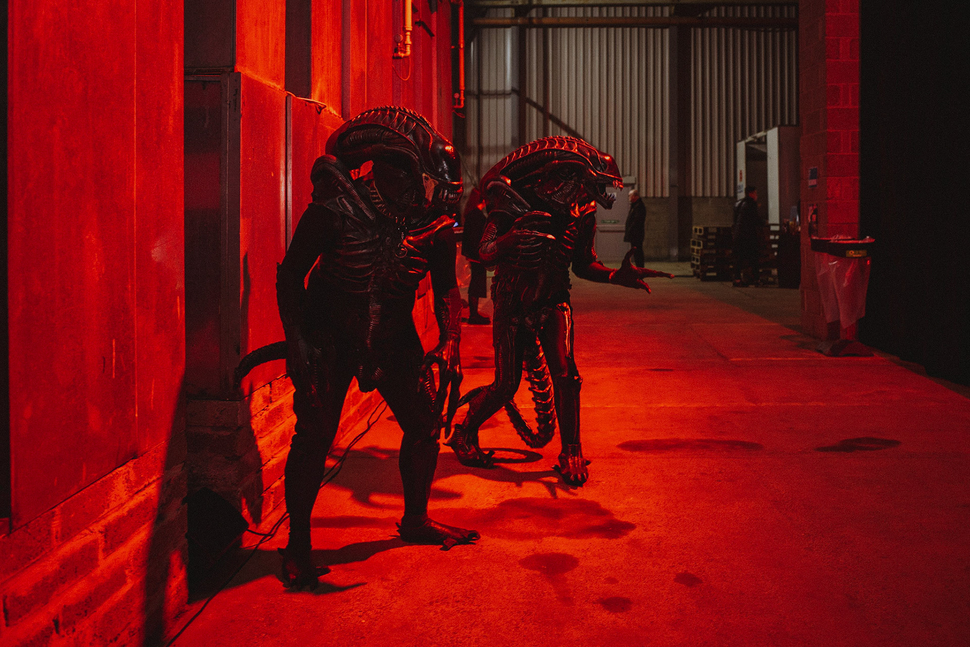 GFF19: Alien at Parkhouse Business ParkPhoto by Ingrid Mur