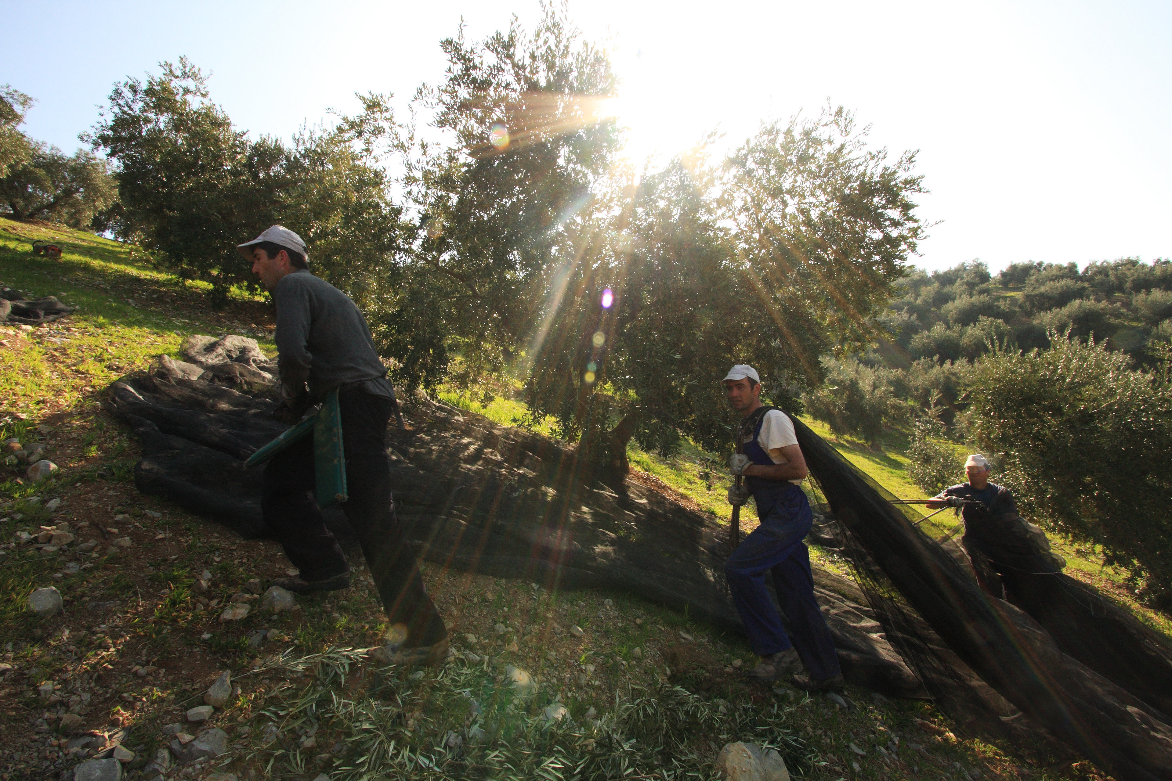 Pickers