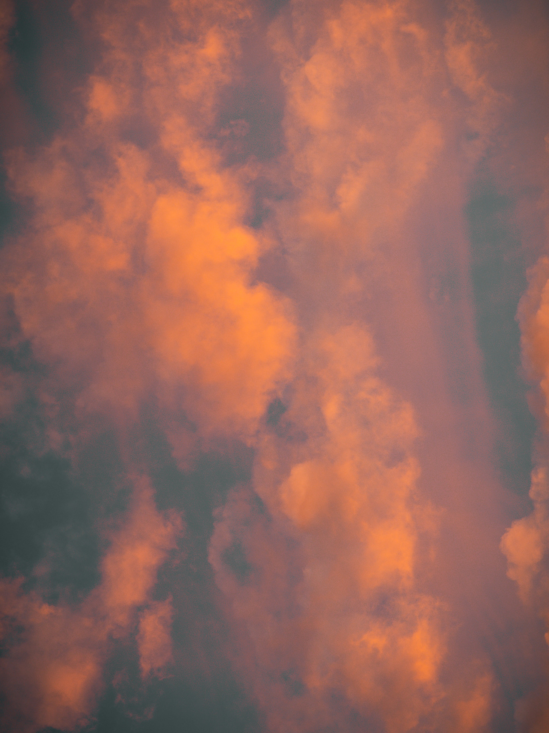 Seattle Sunset. 2025.