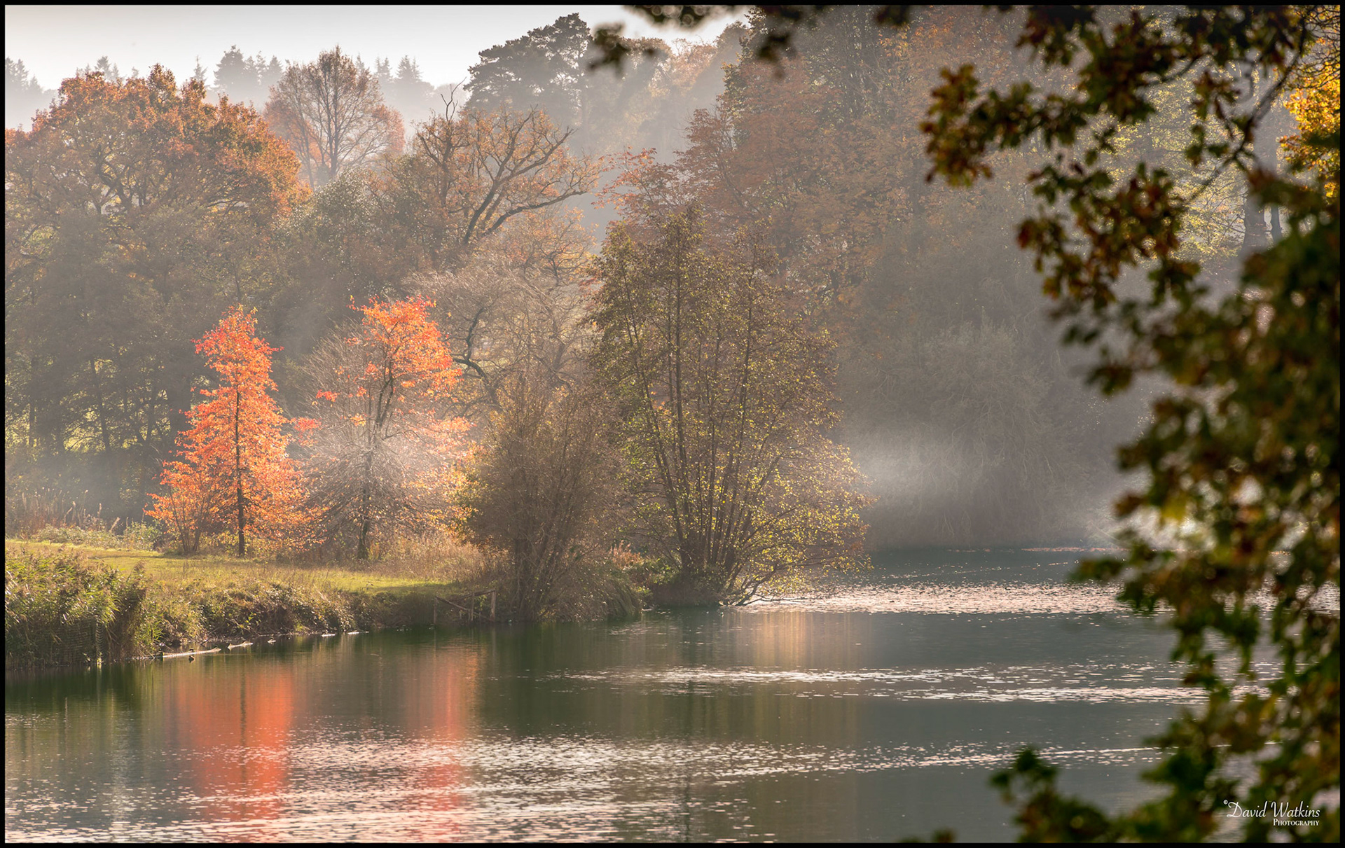 The Lake at Winkworth