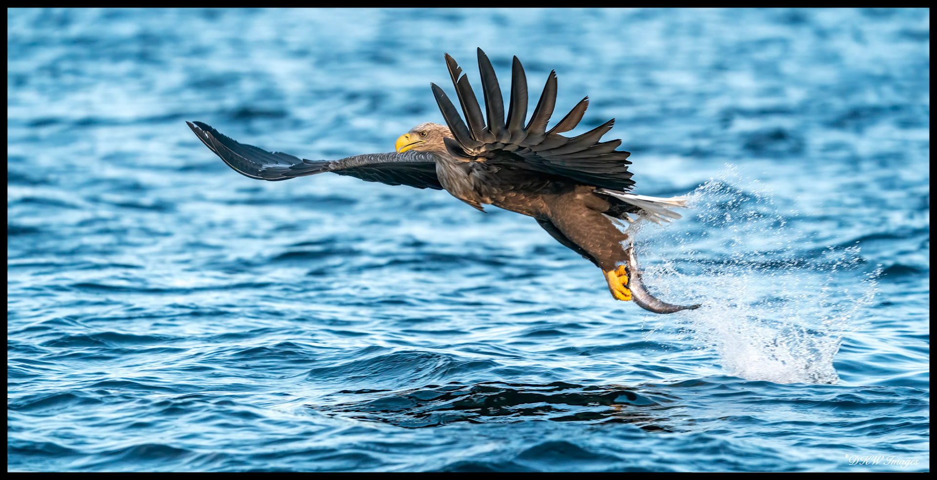 Good catch!