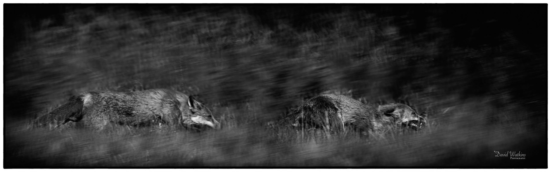 The Chase