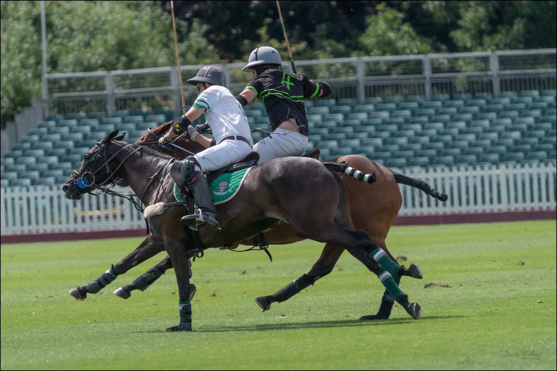 Cantering