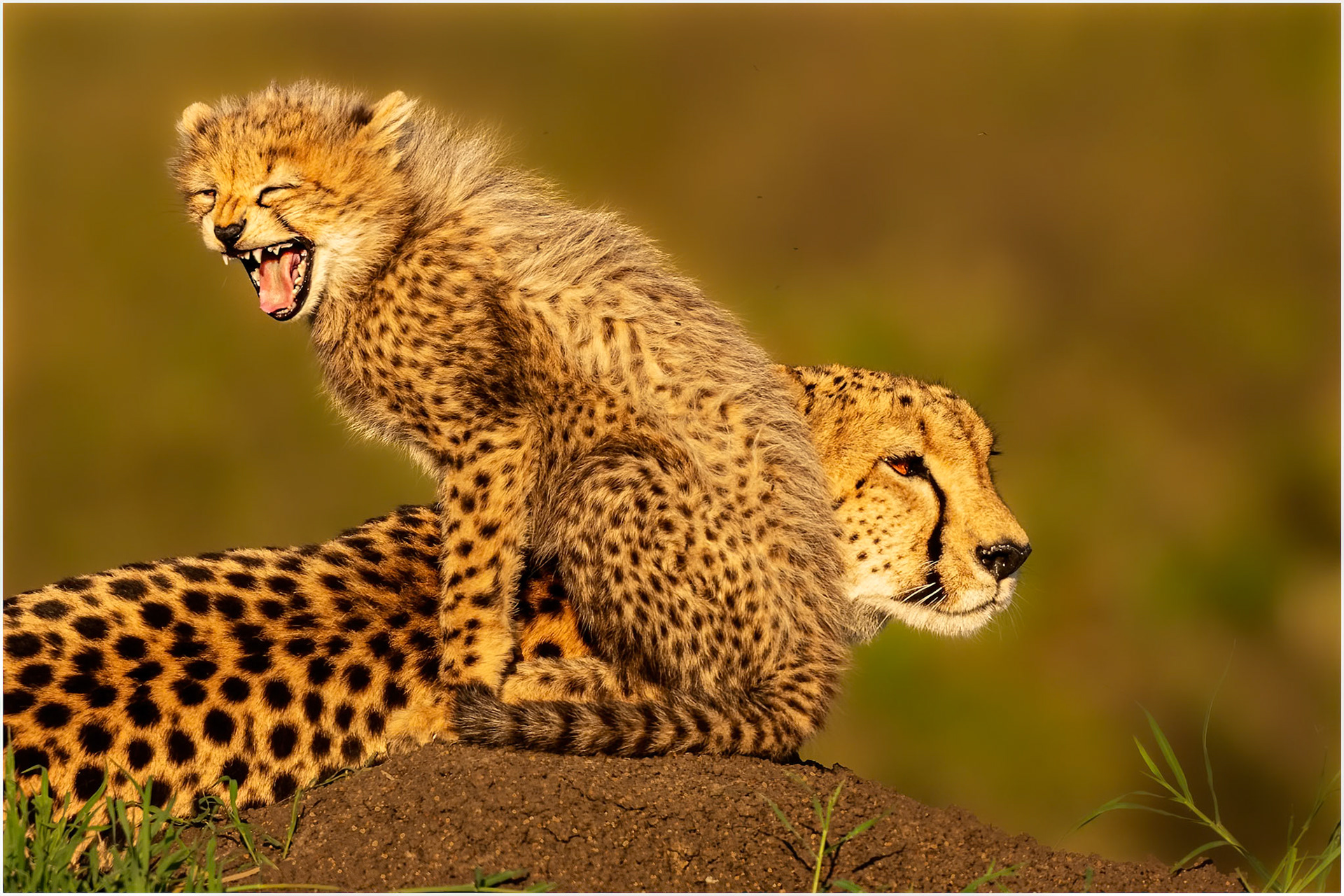 Keeping lookout