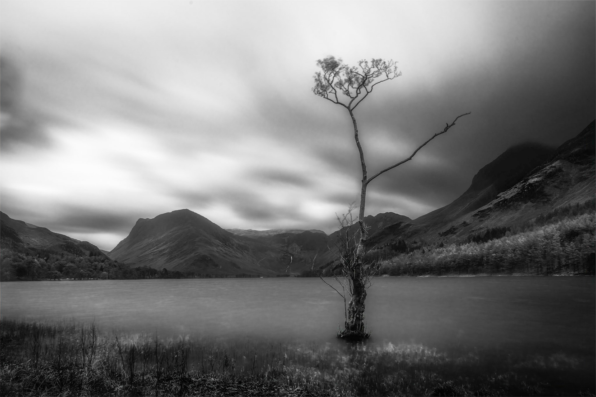 Buttermere Lone Tree