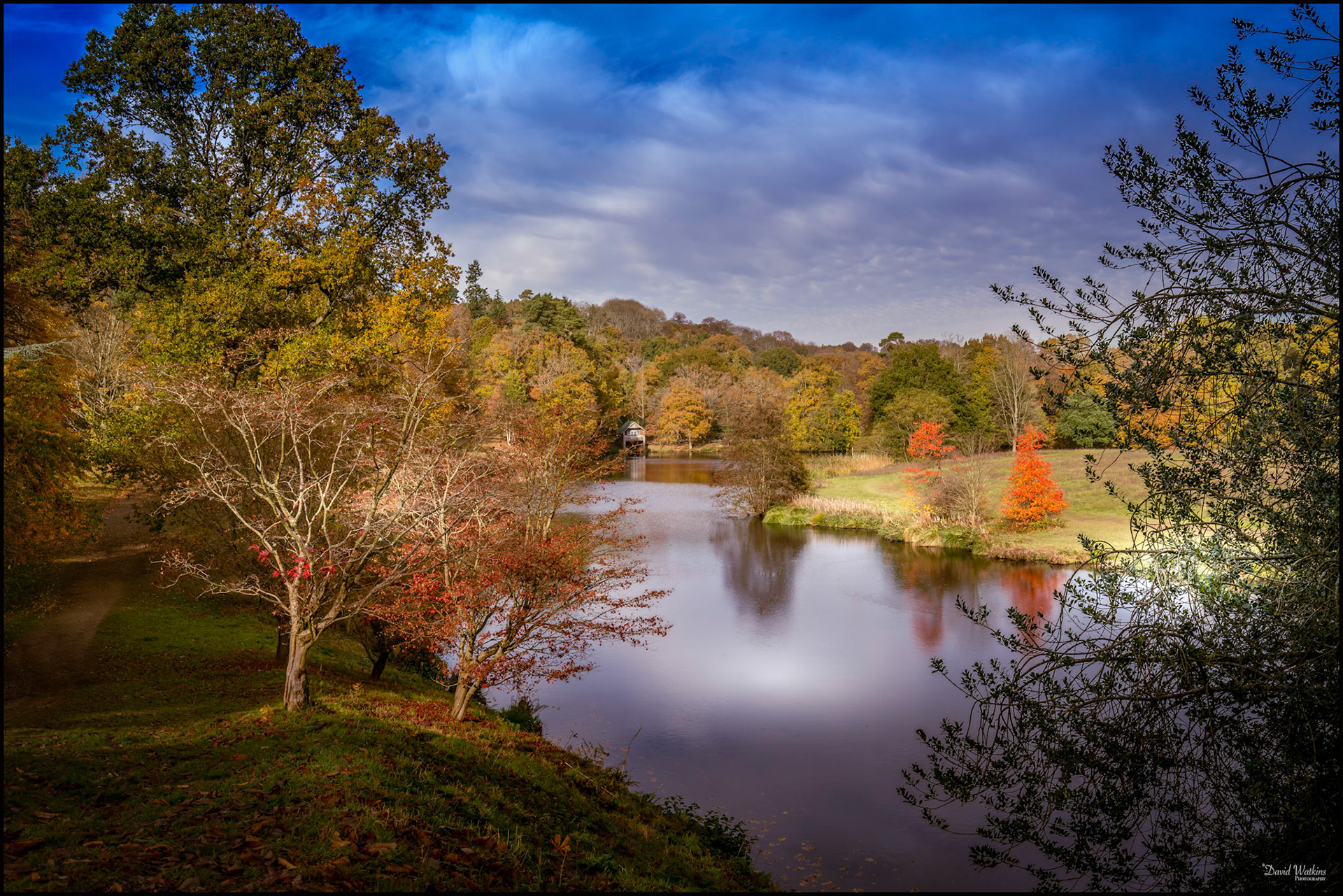 The Lake at Winkworth