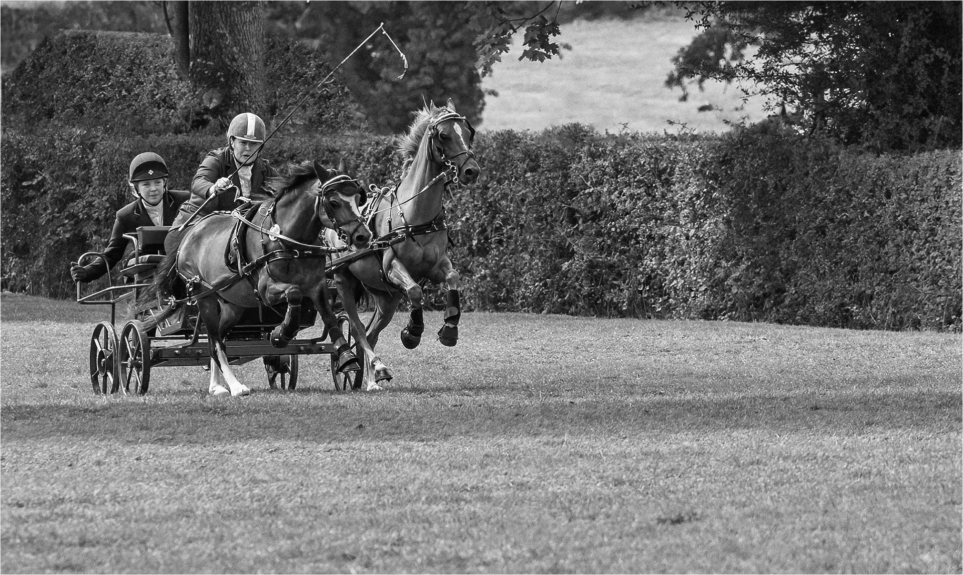 Galloping home