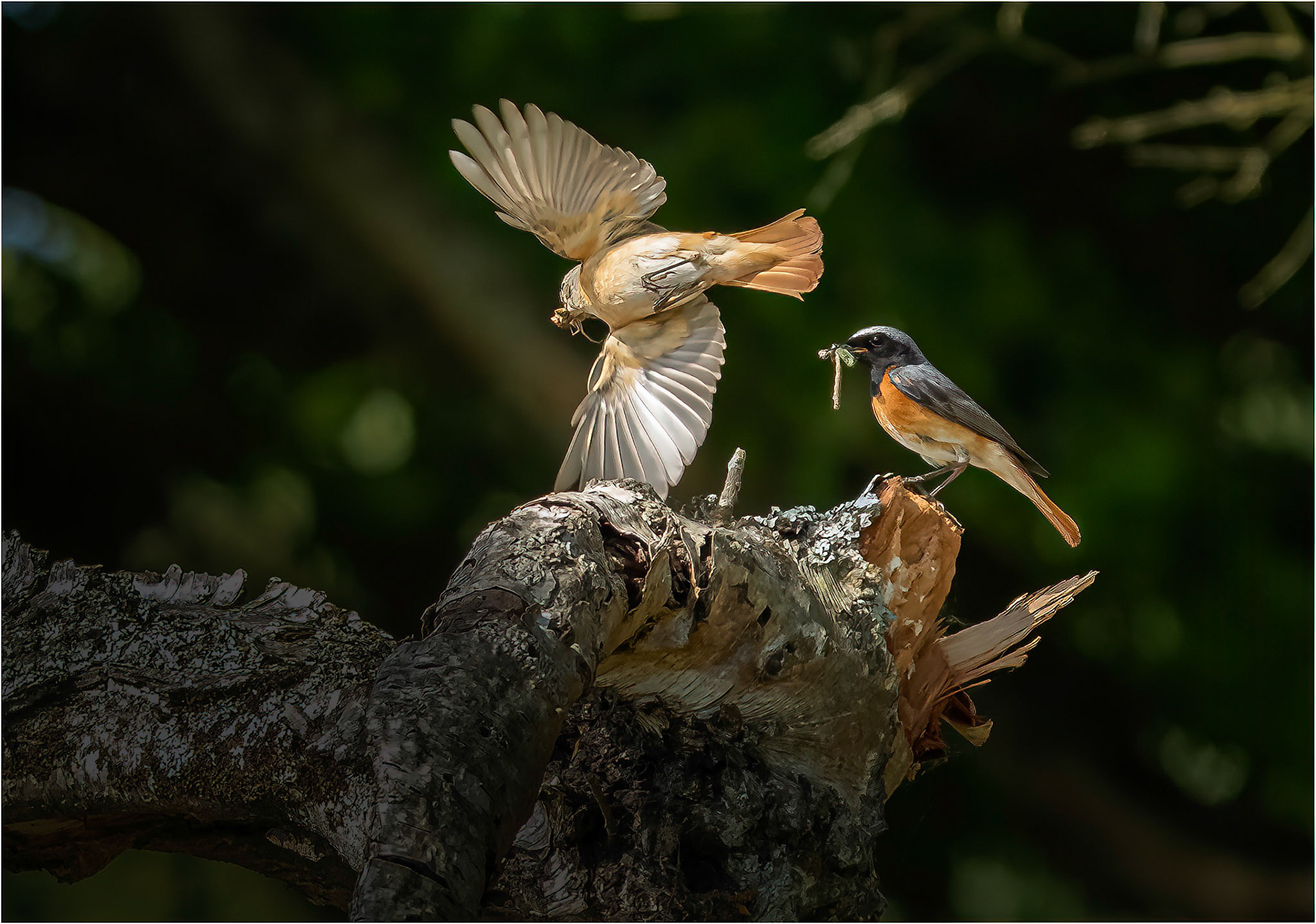 Busy Parents
