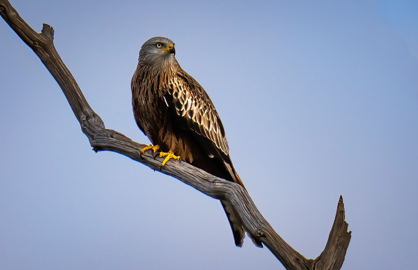 Surveying the landscape
