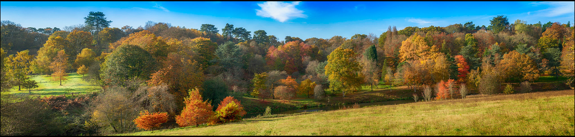 Autumn Colours