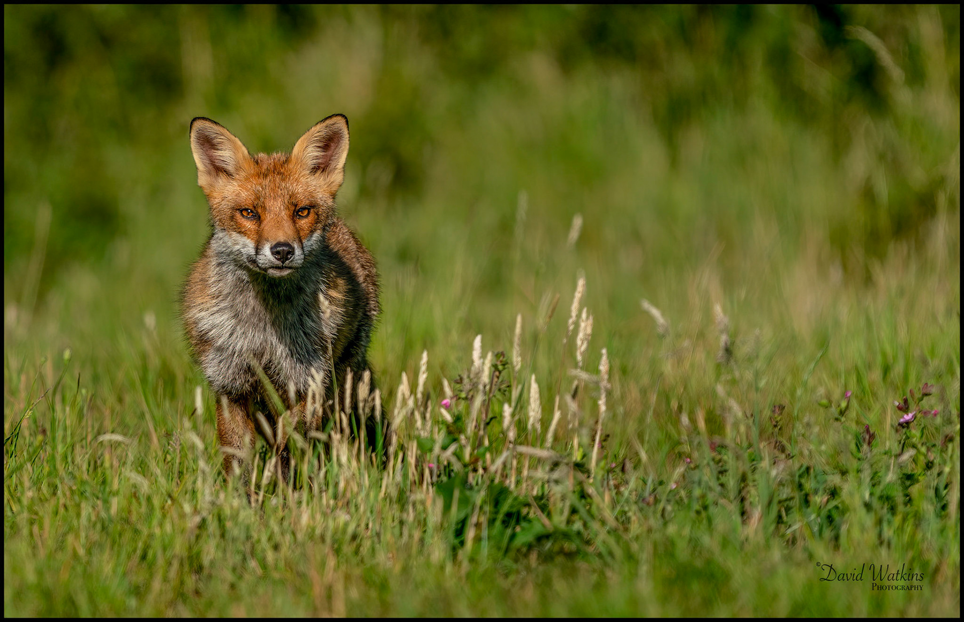 Surveying the environment