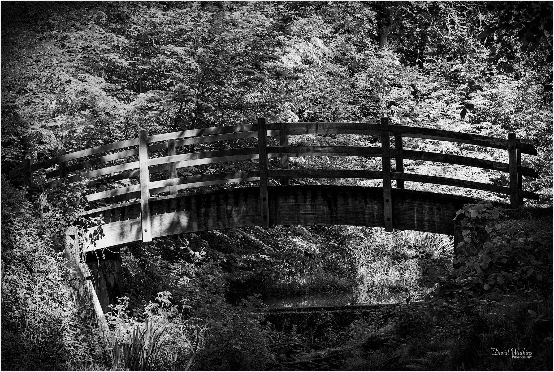 The Old Bridge