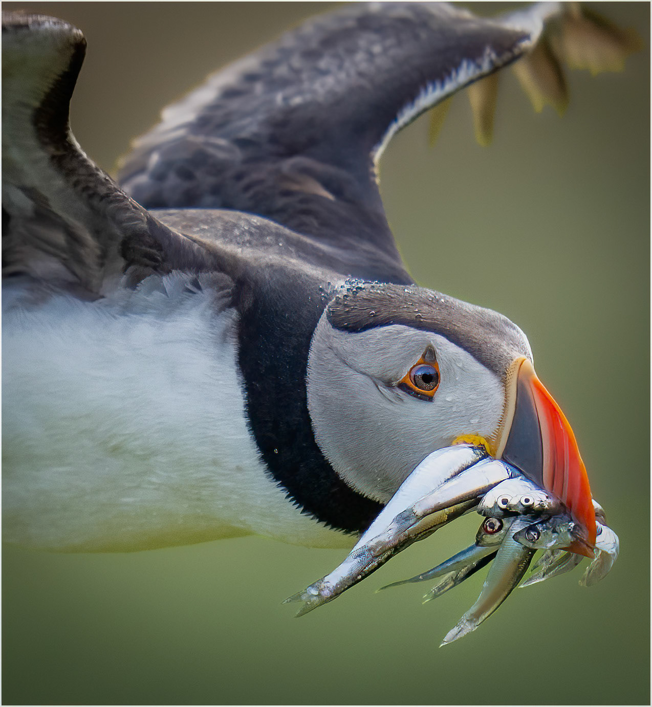 Good catch
