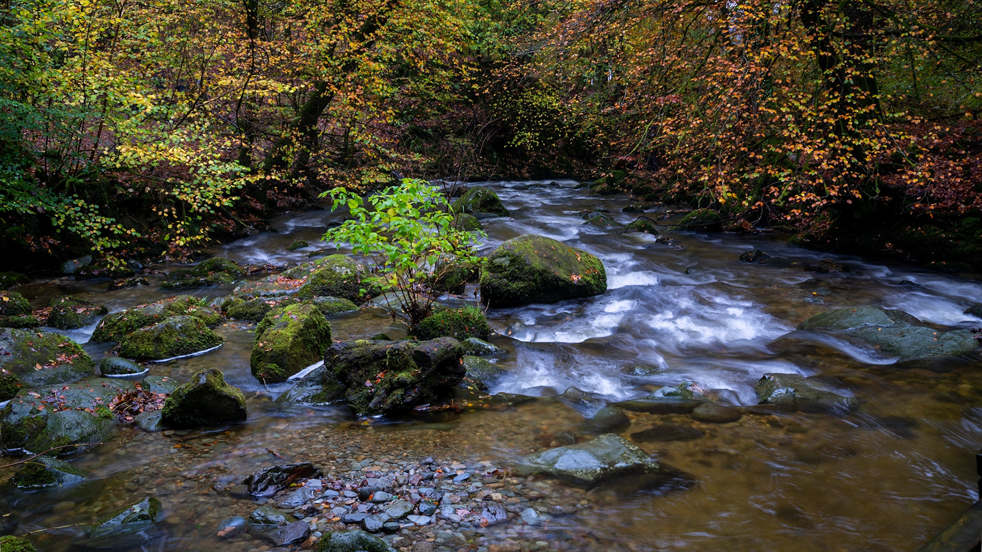 Aira Falls