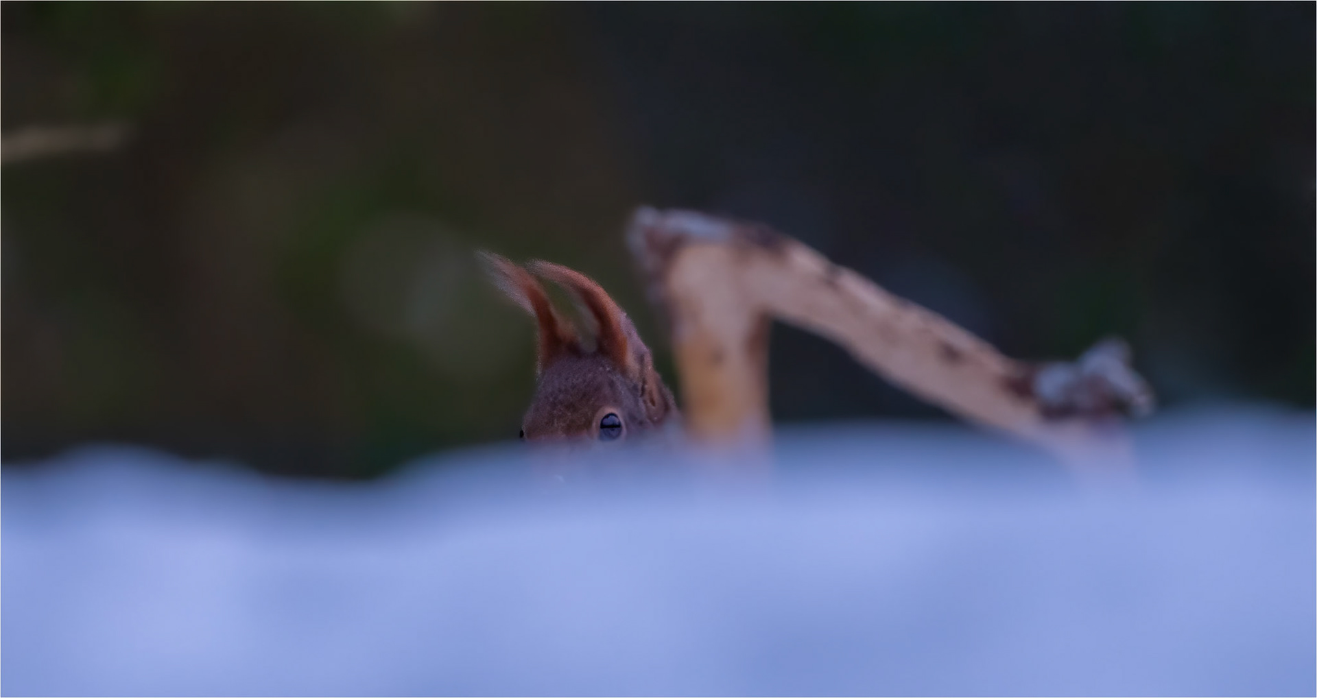Hiding