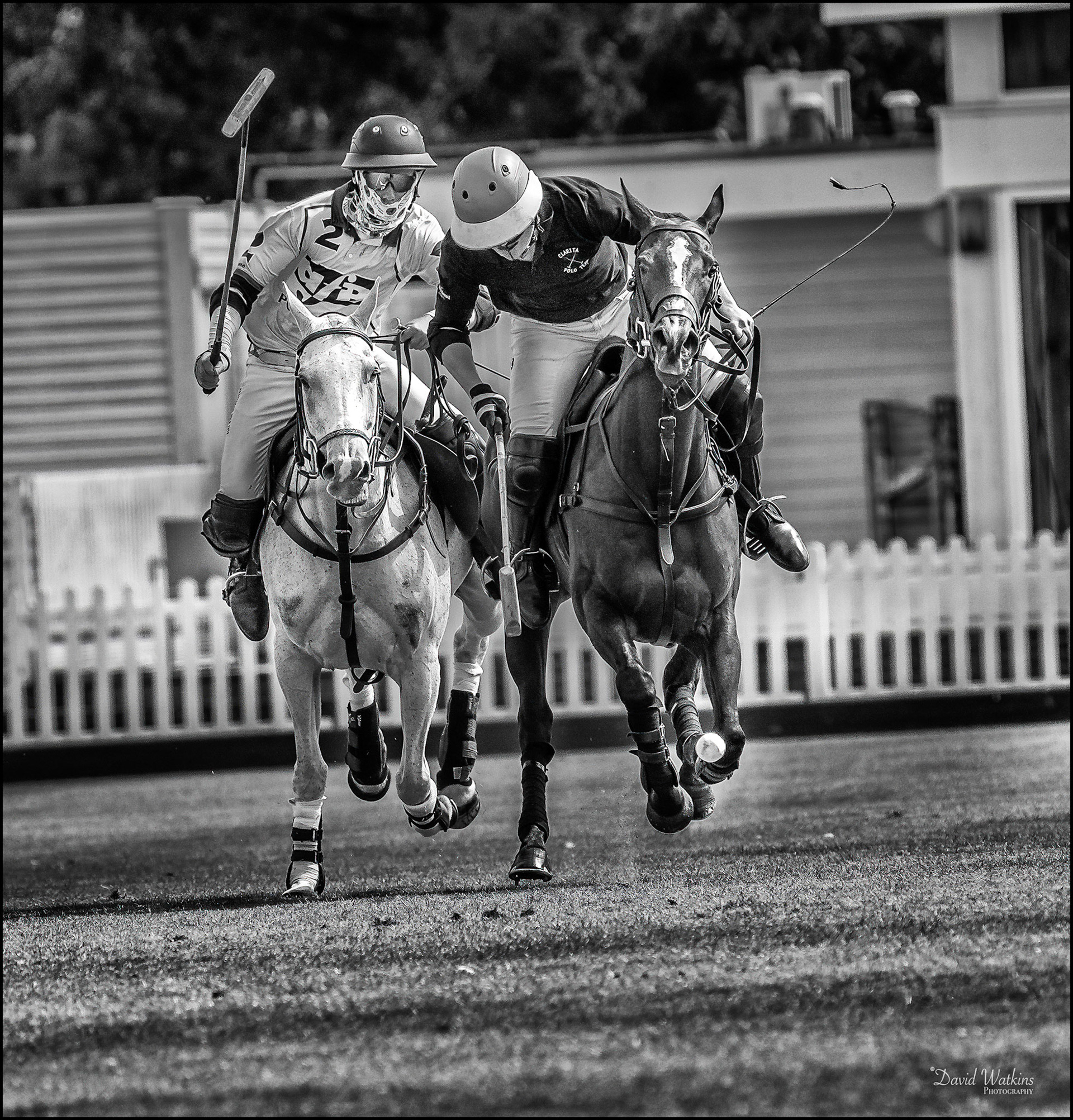 Neck and Neck
