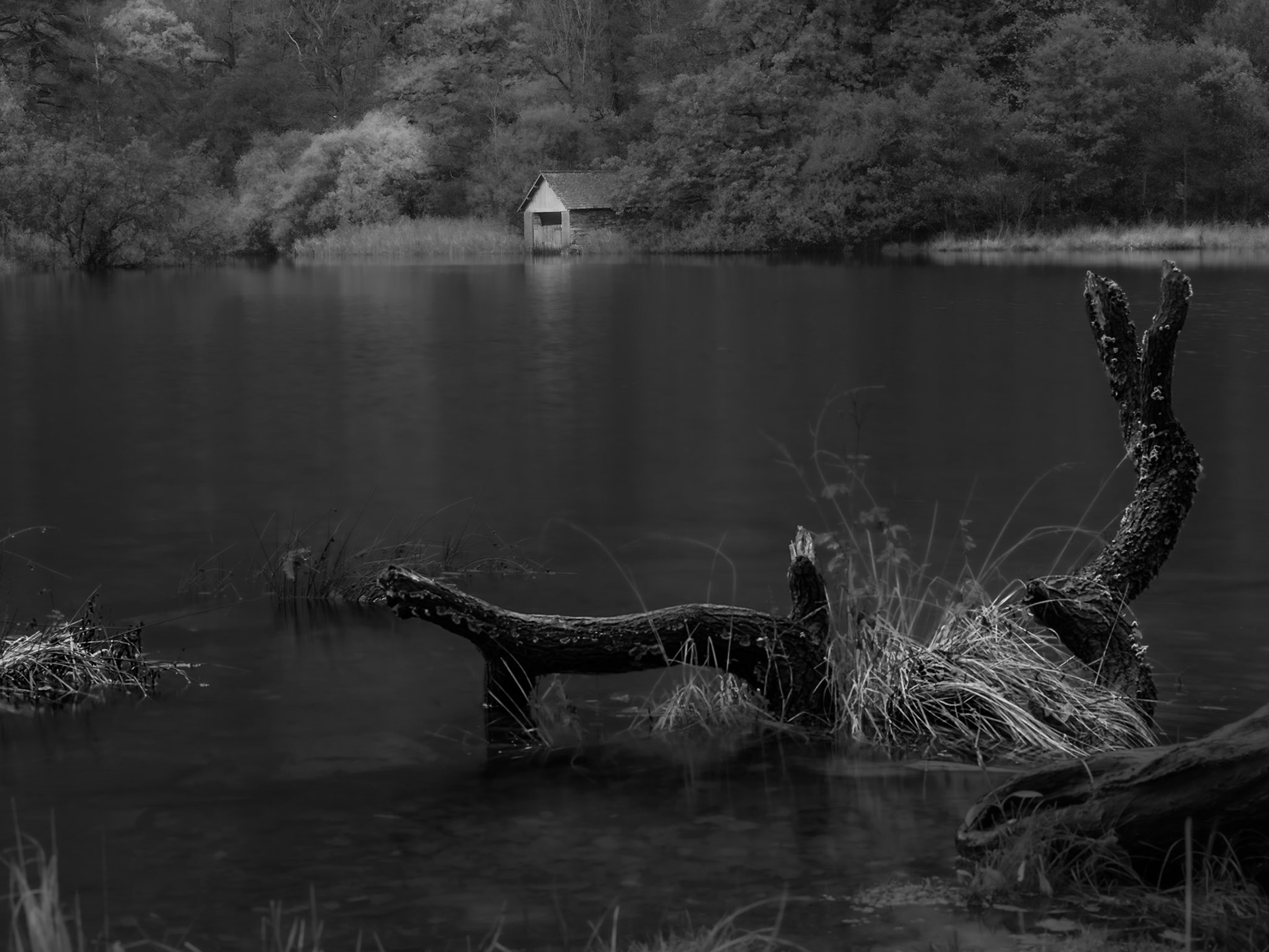 The Boat House