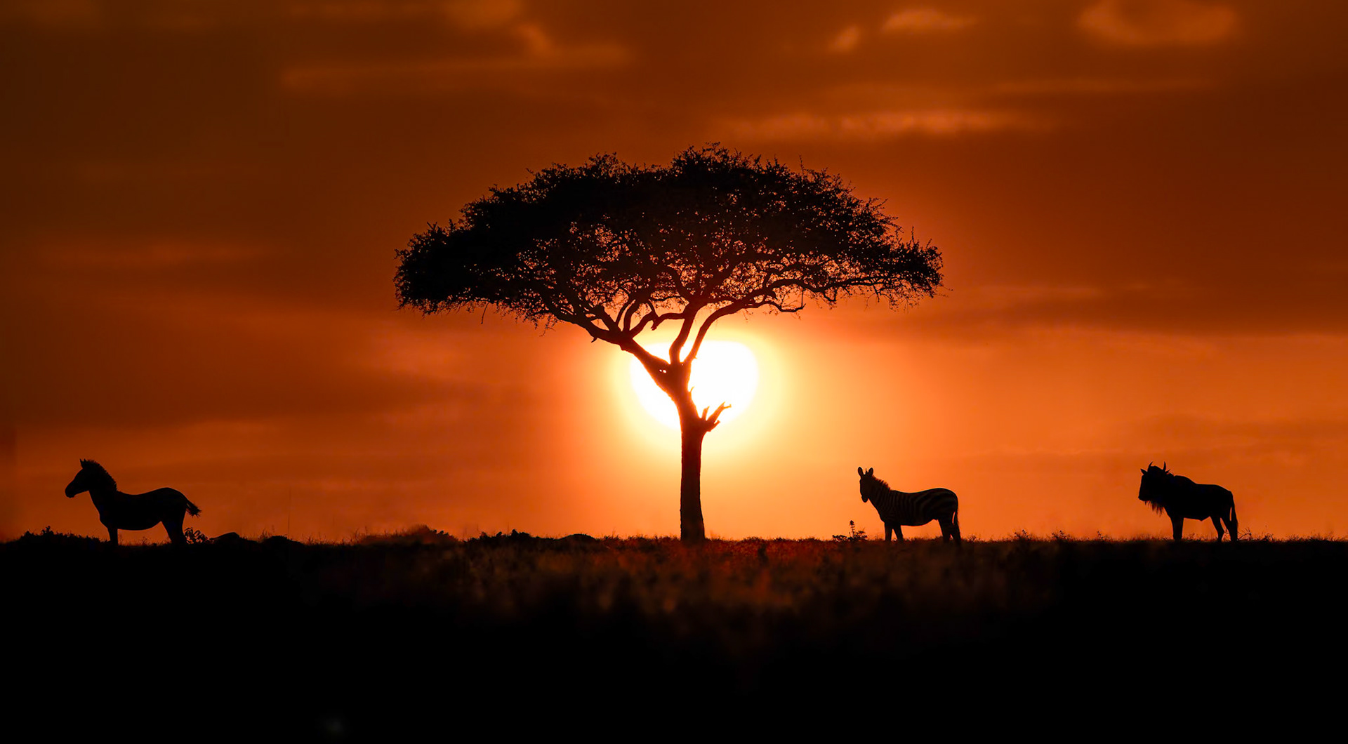 African Sunset