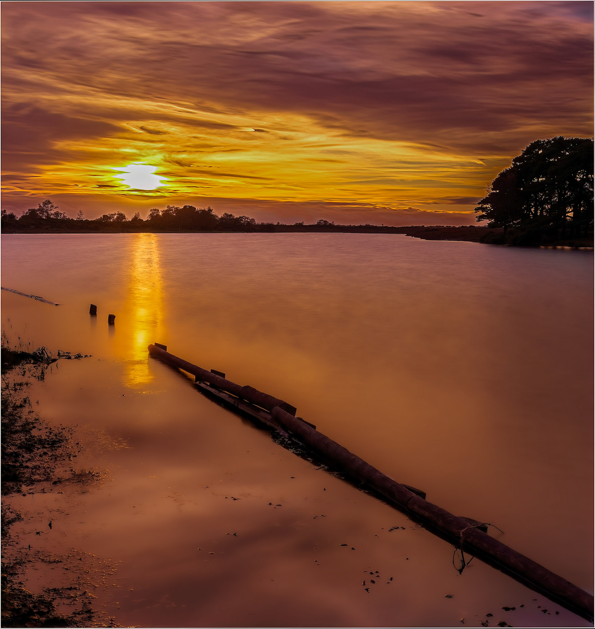 New Forest Sunset