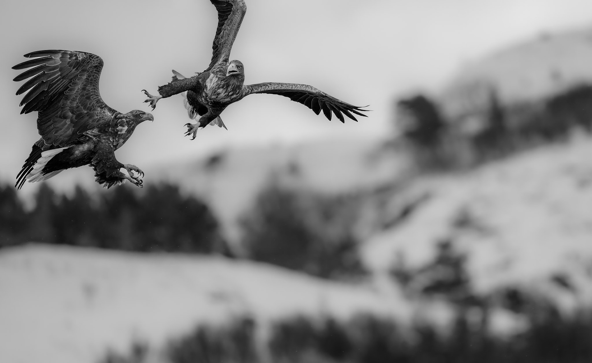 Mid air interception