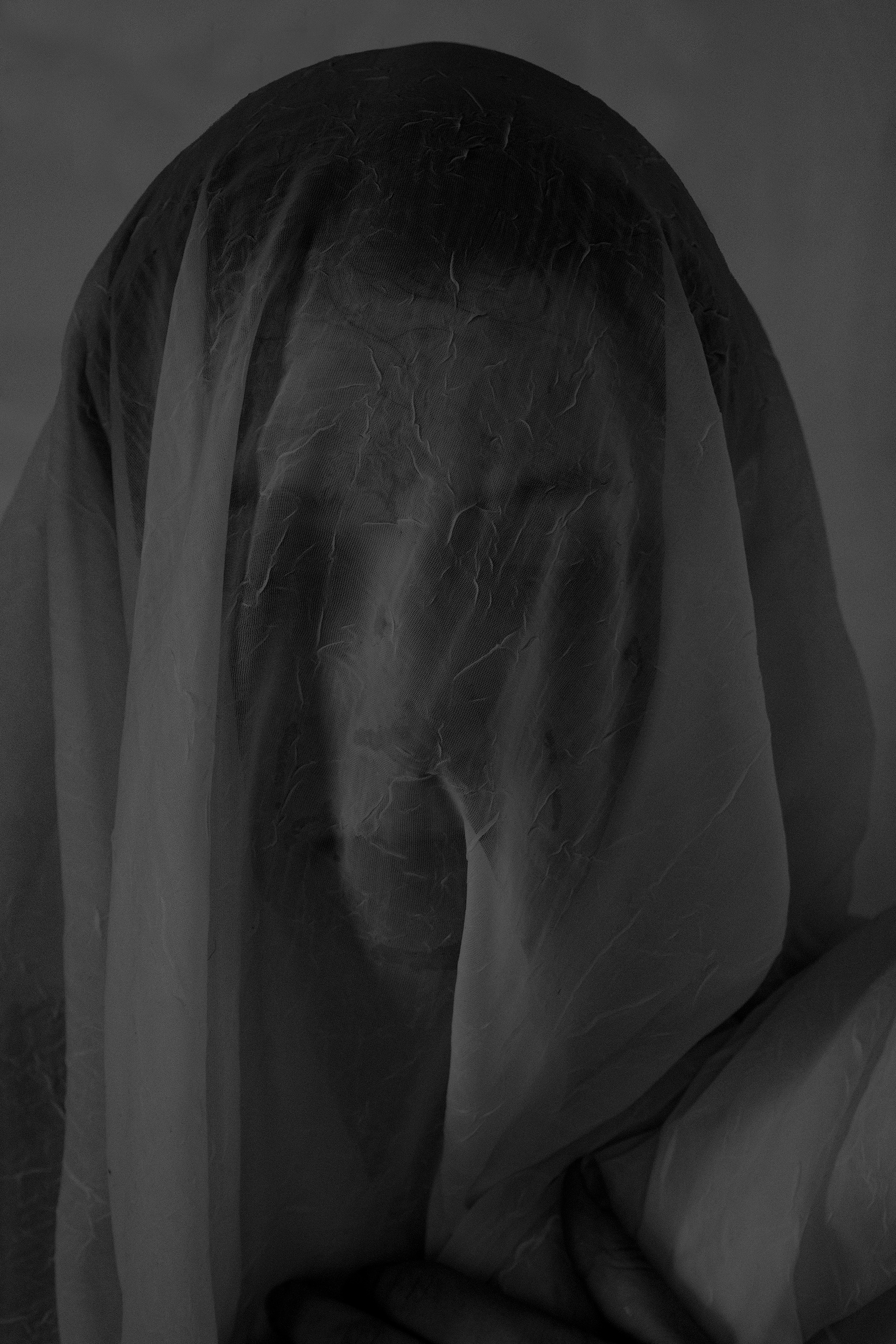 The Veil, February 2022