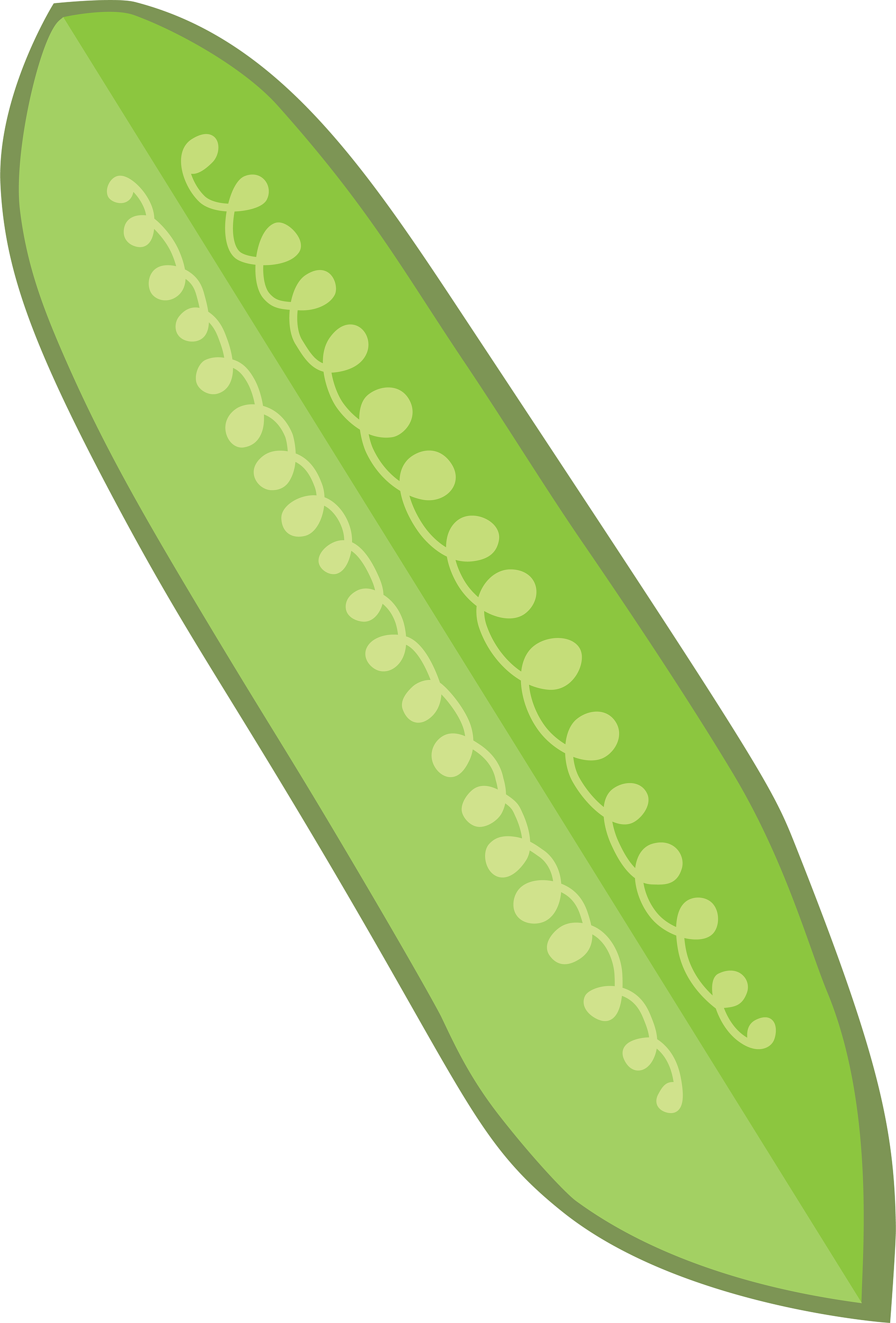 Pickle V.3