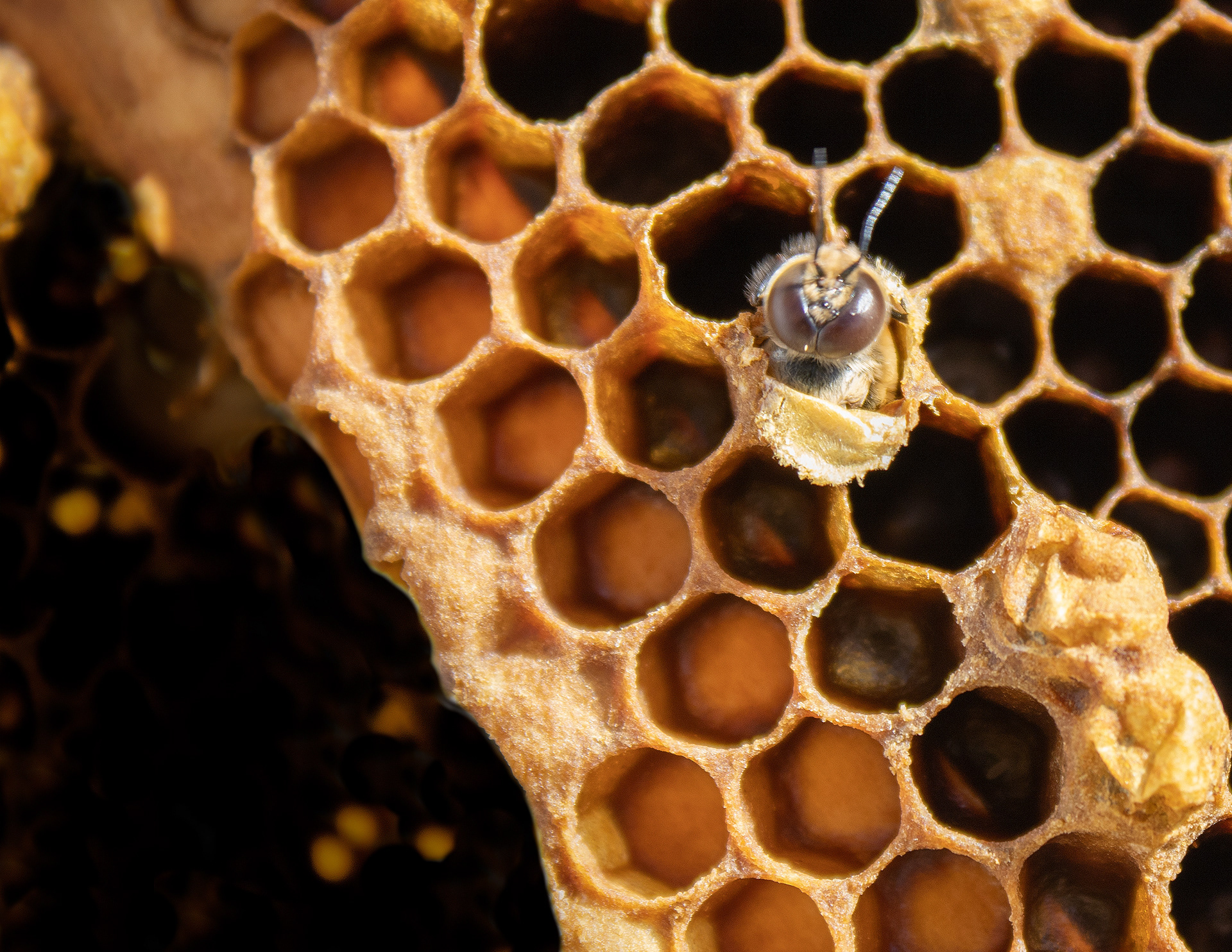 First Sunlight, April 2022