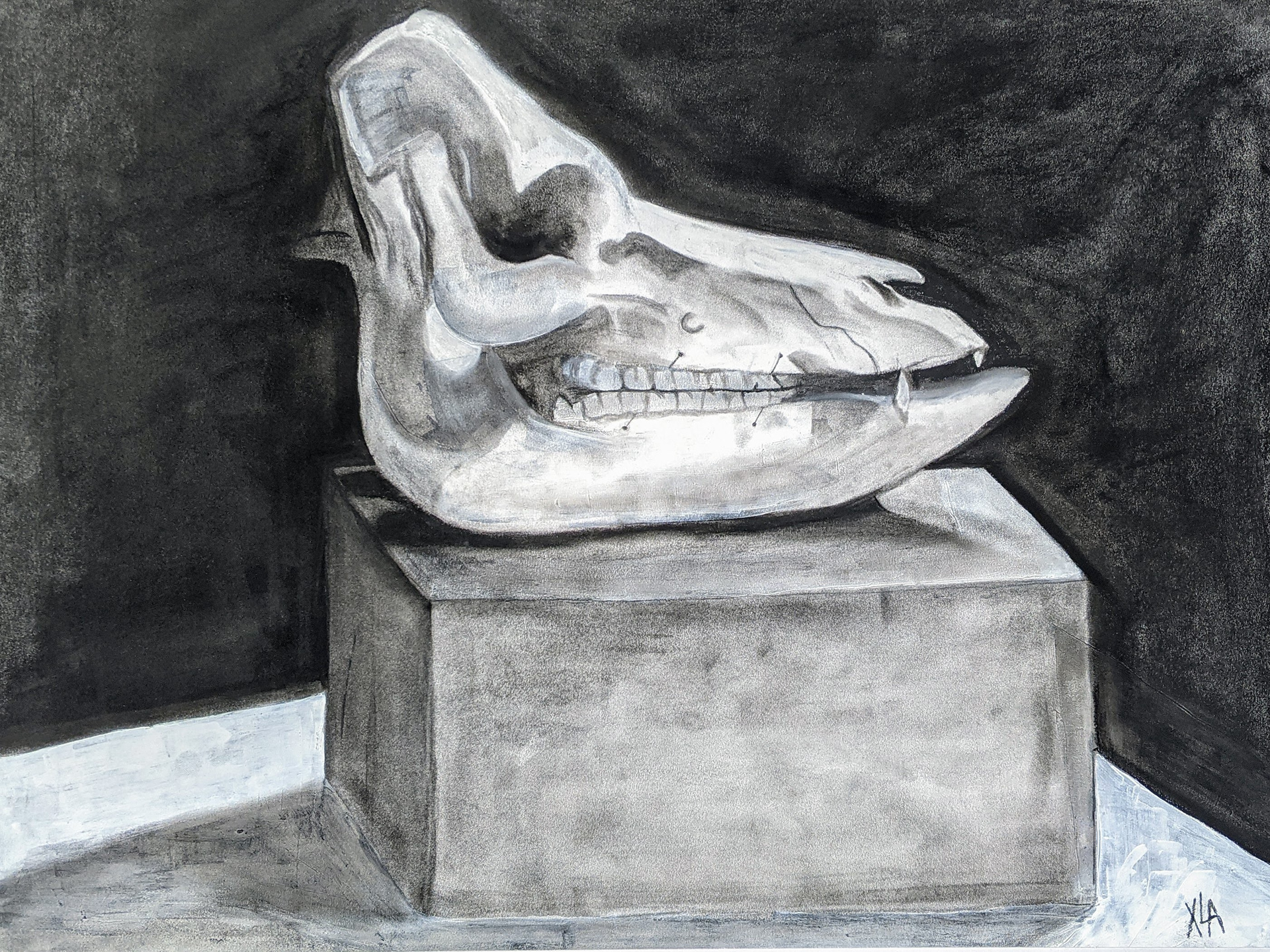 Boar Skull, Charcoal & Acrylic, 2021