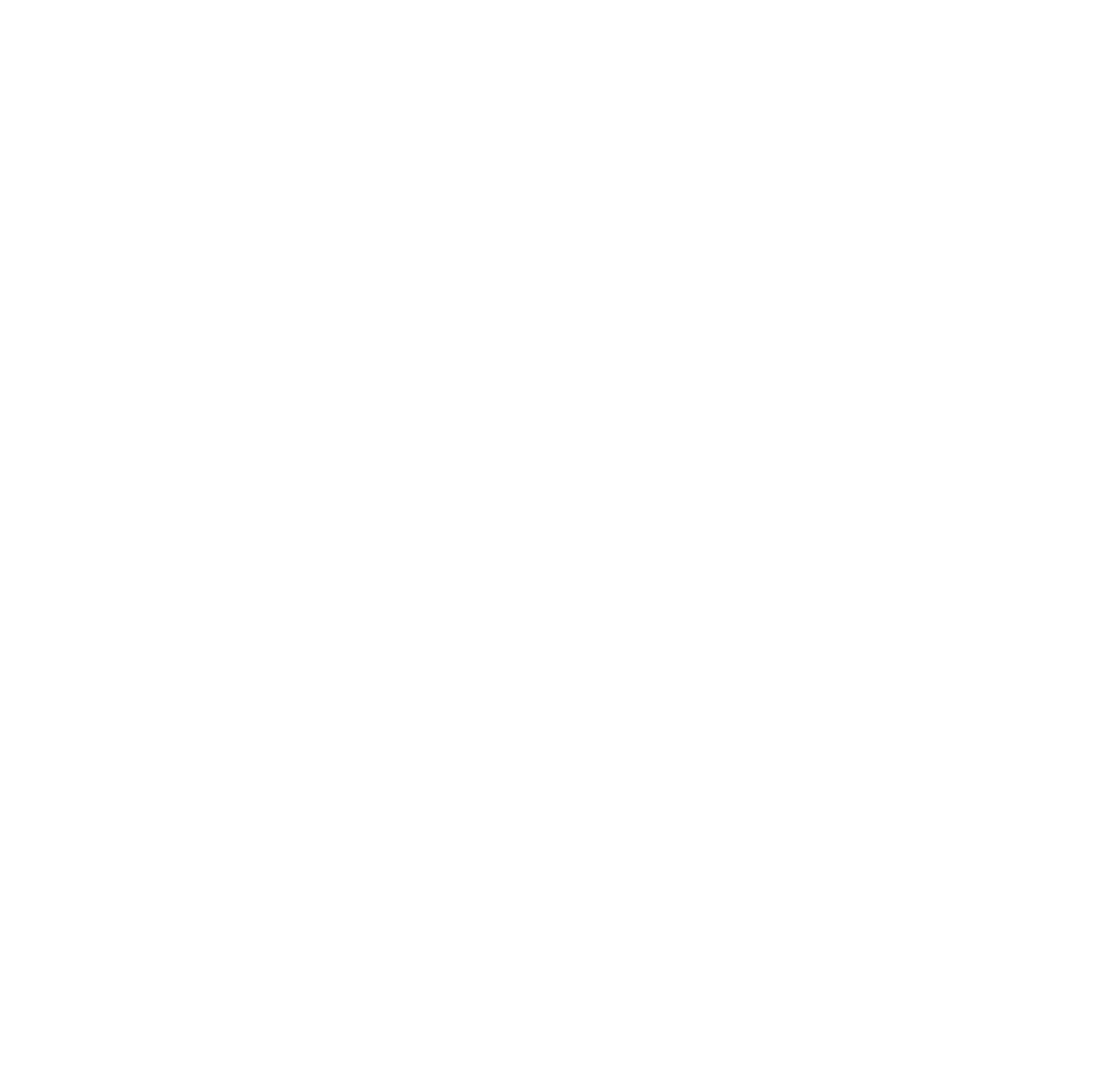 나비효과