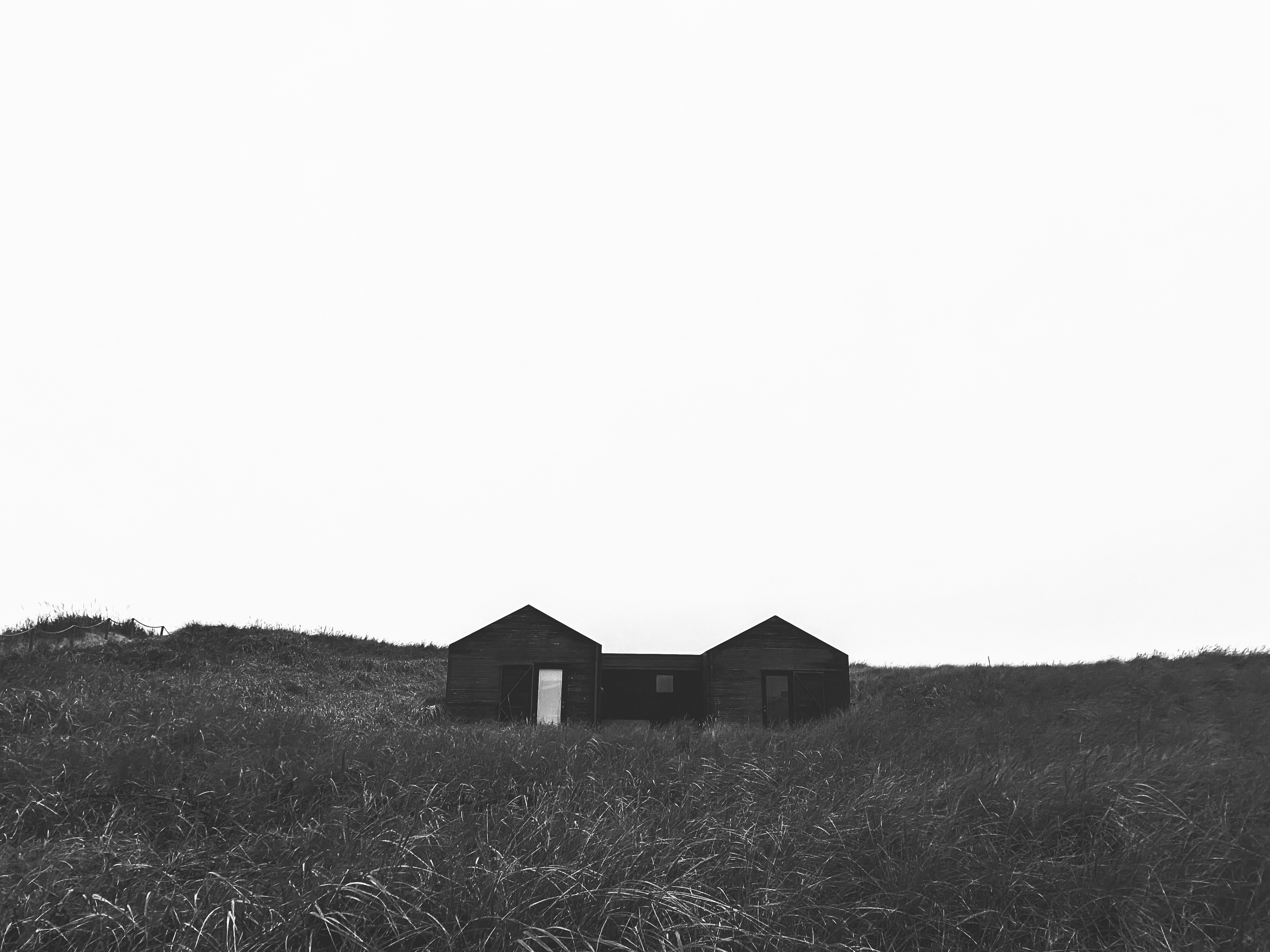 IMG-3708