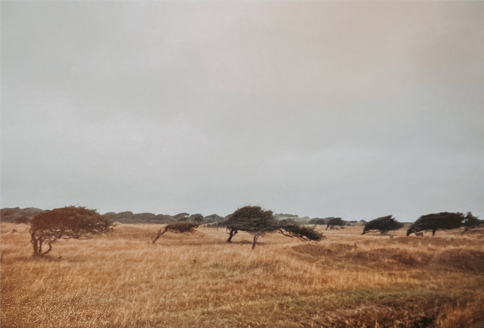IMG-4368