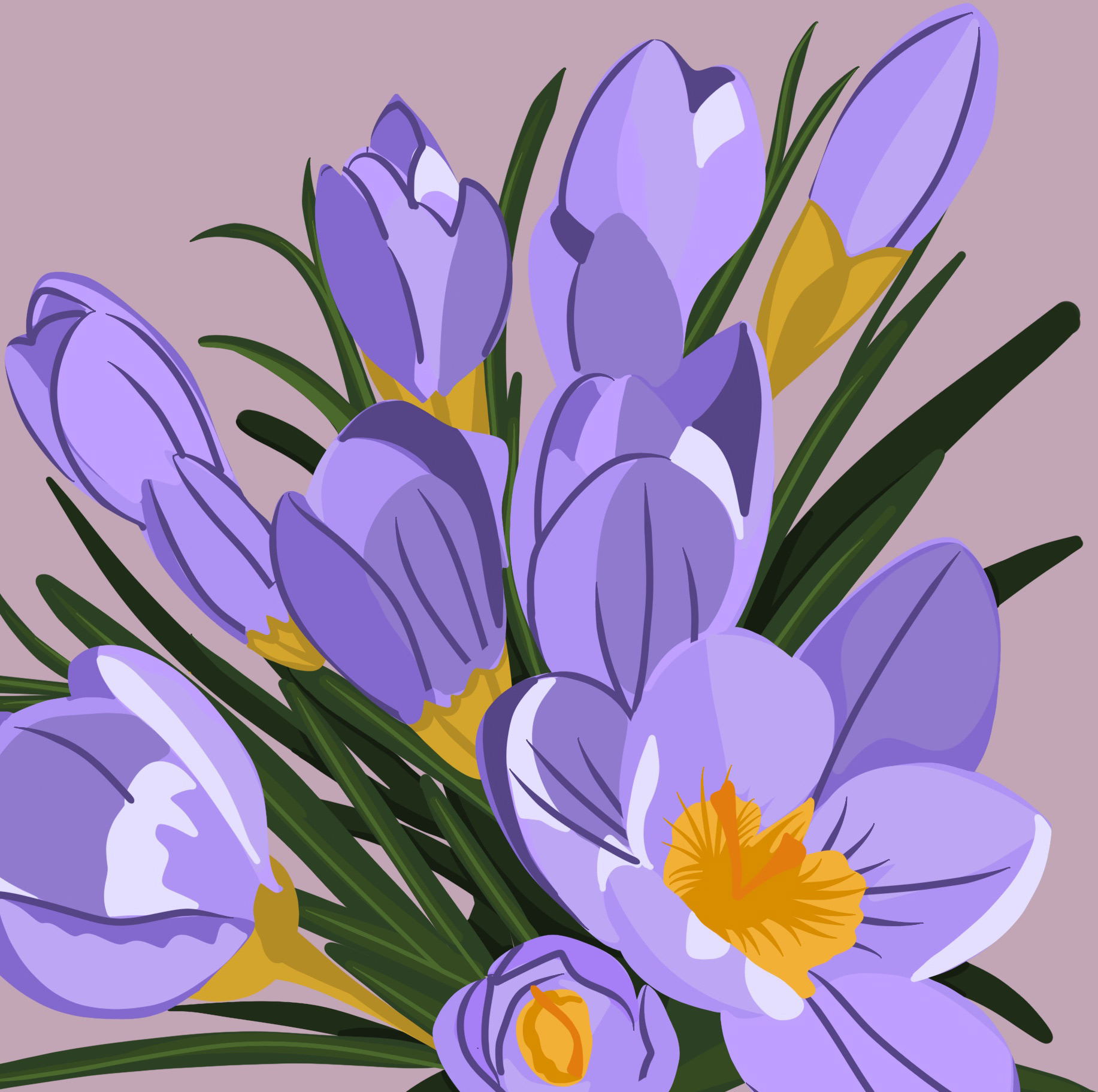 Digital Illustration 