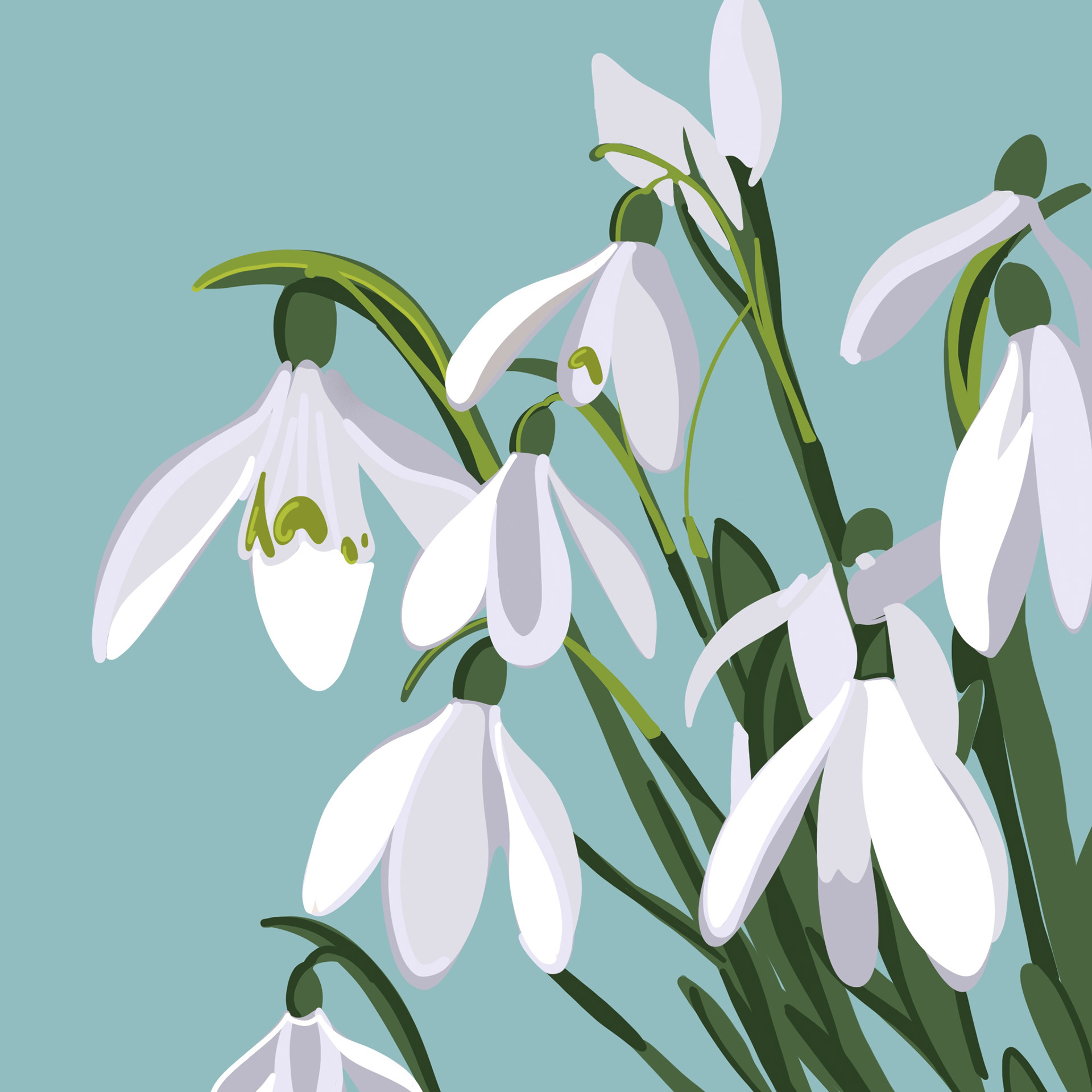 Digital Illustration 