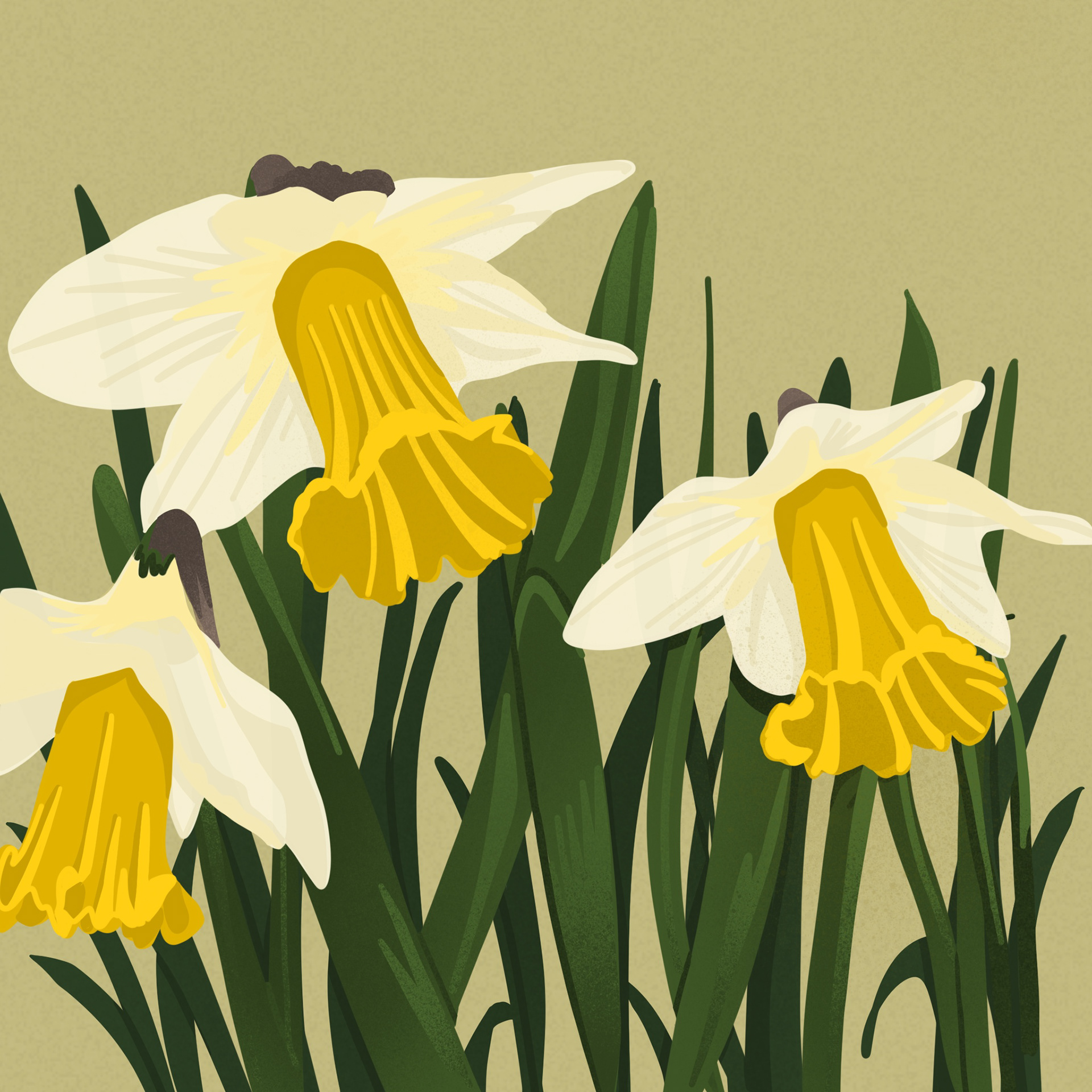Digital Illustration 
