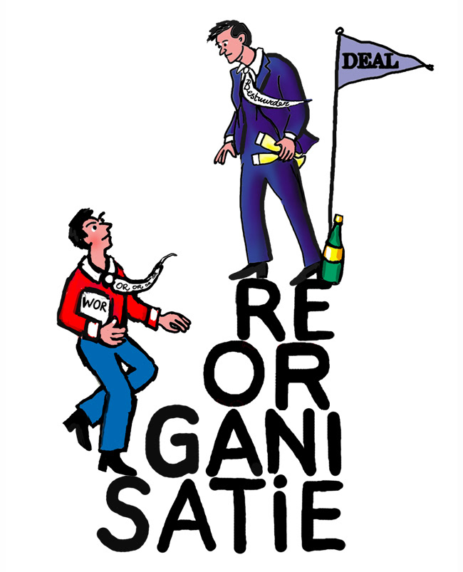Reorganisatie