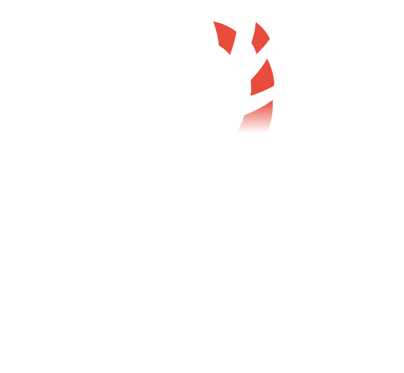 DLM STUDIO FOTO E VIDEO