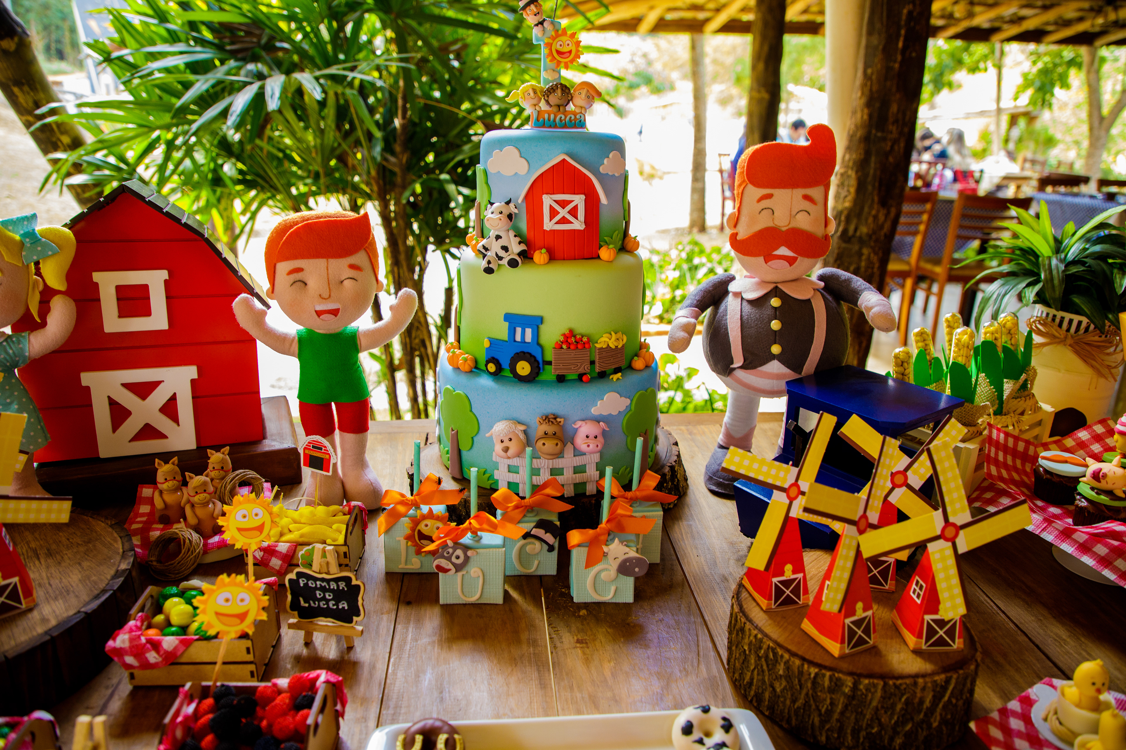 decoração fazendinha festa infantil, fotografia realizada na fazenda Floresta park em souzas Campinas , filmagem de aniversario, fotografo festa infantil