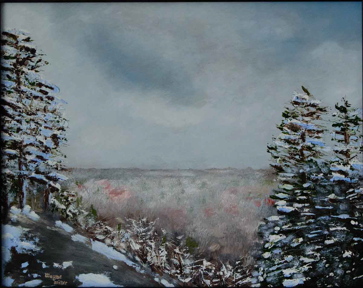 Algonquin Winter
