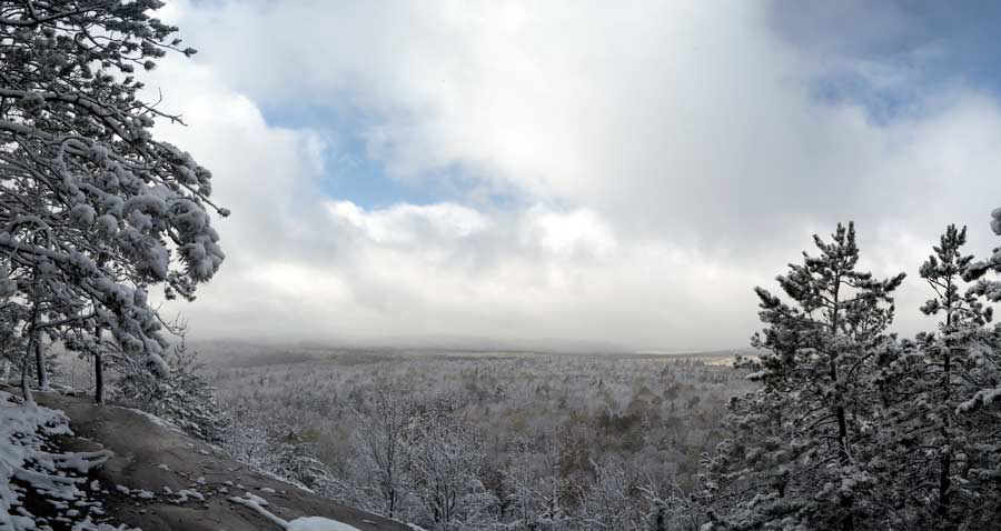Algonquin winter