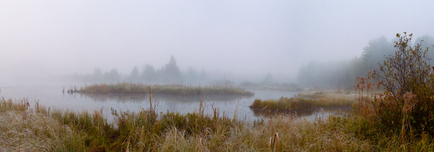 Misty