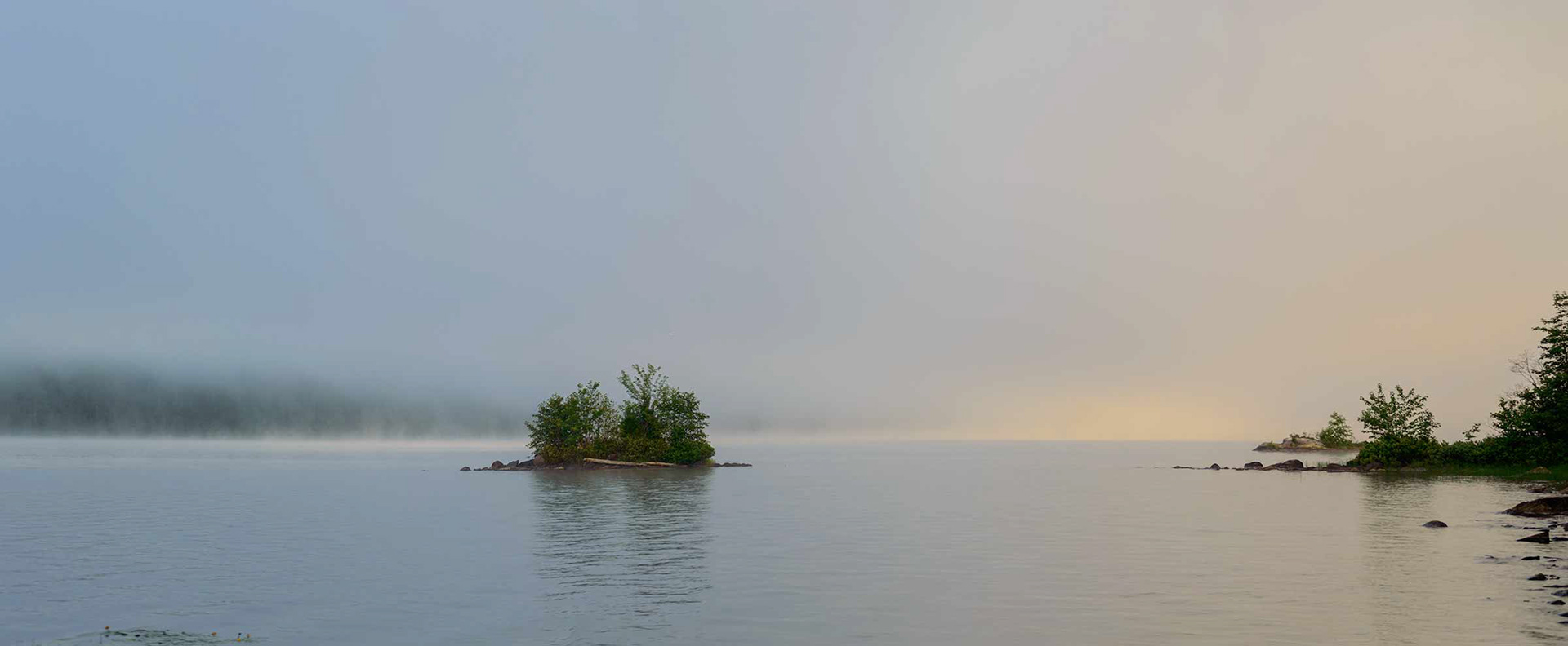 Morning Mist