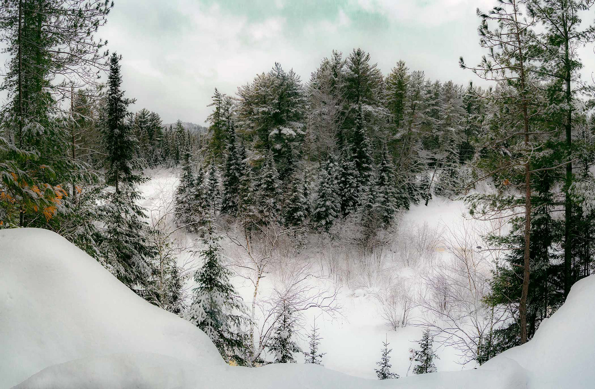 Winter on the Two Rivers Trail