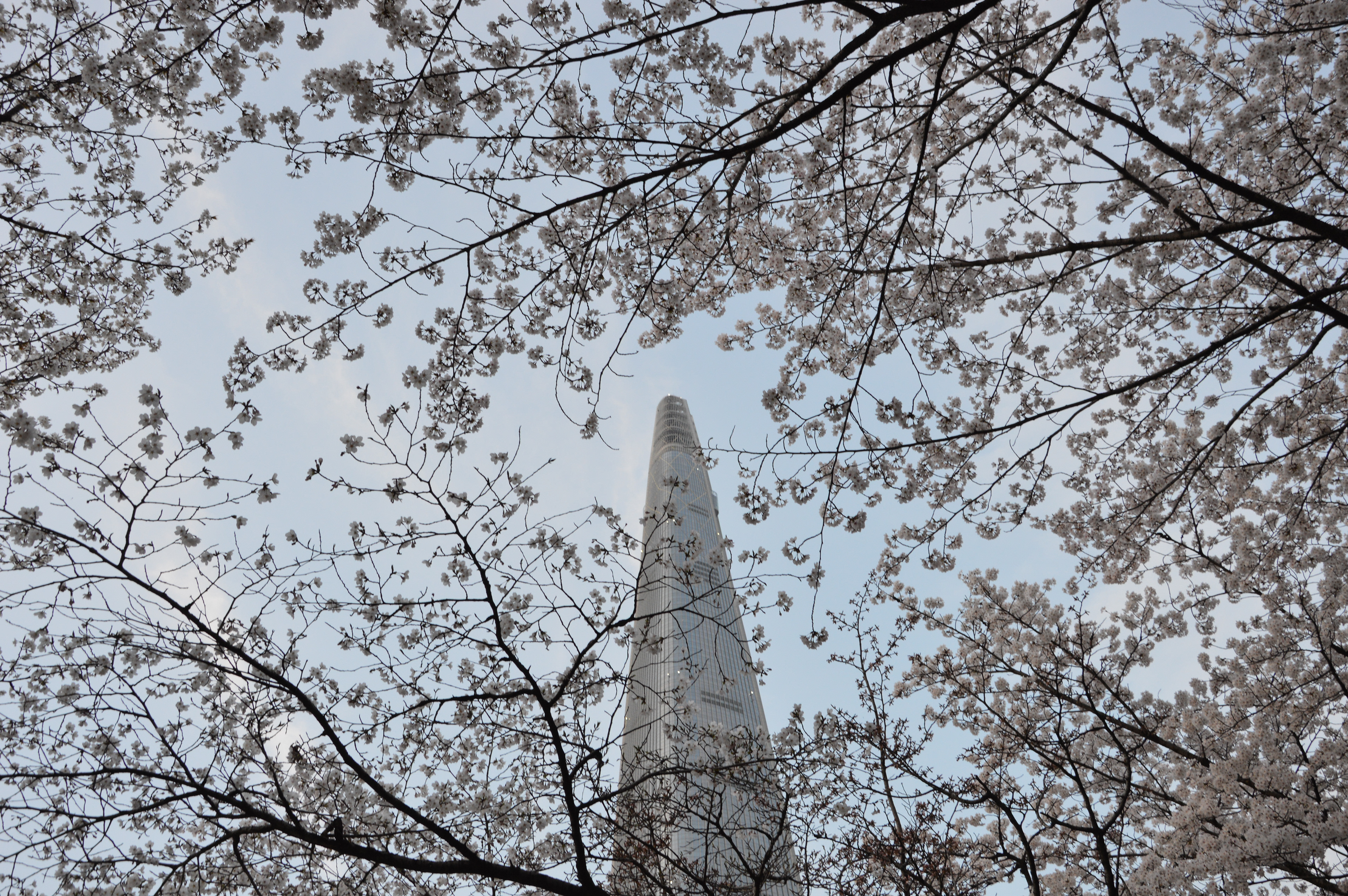 Seoul — 2024