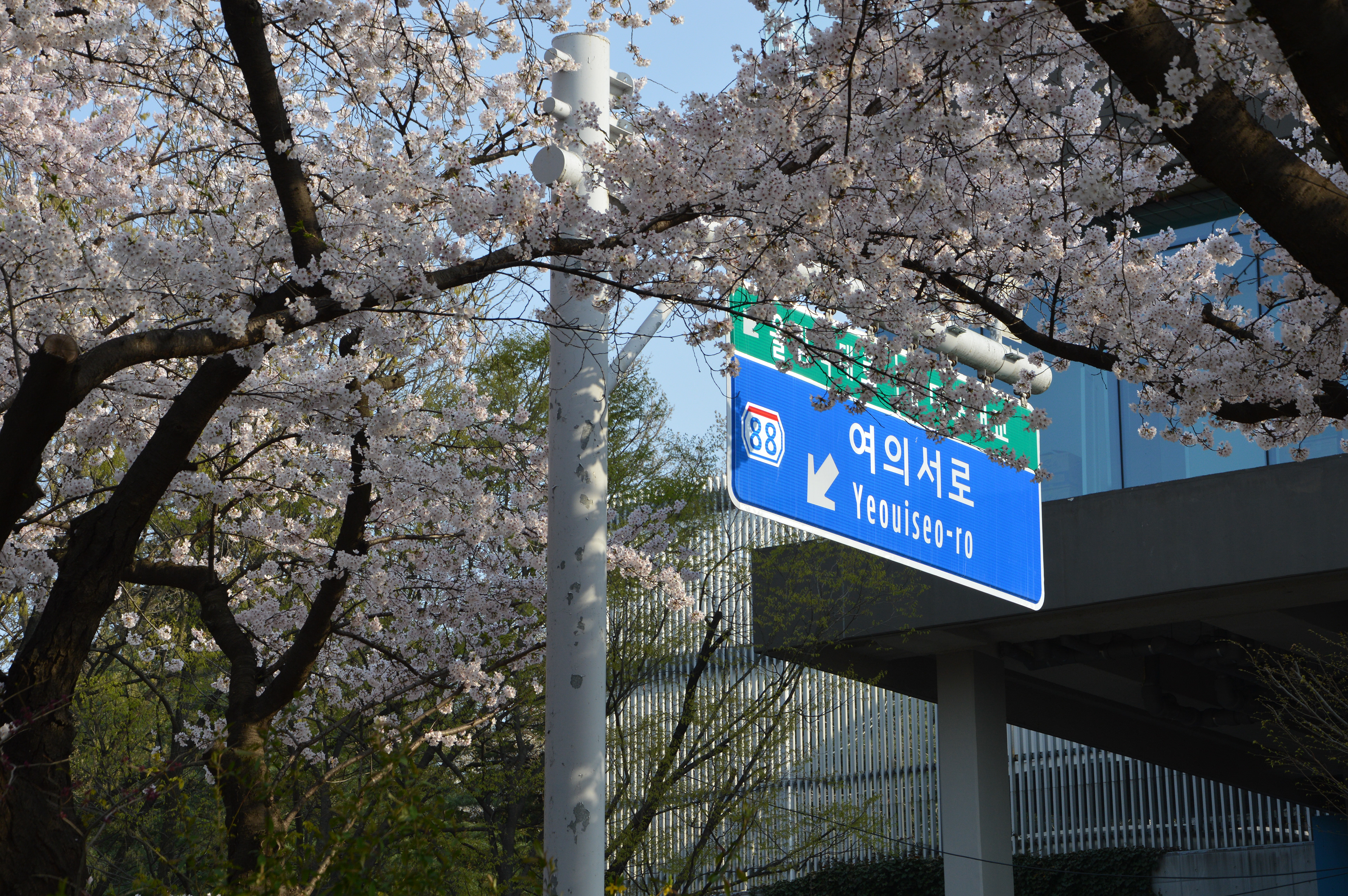 Seoul — 2024