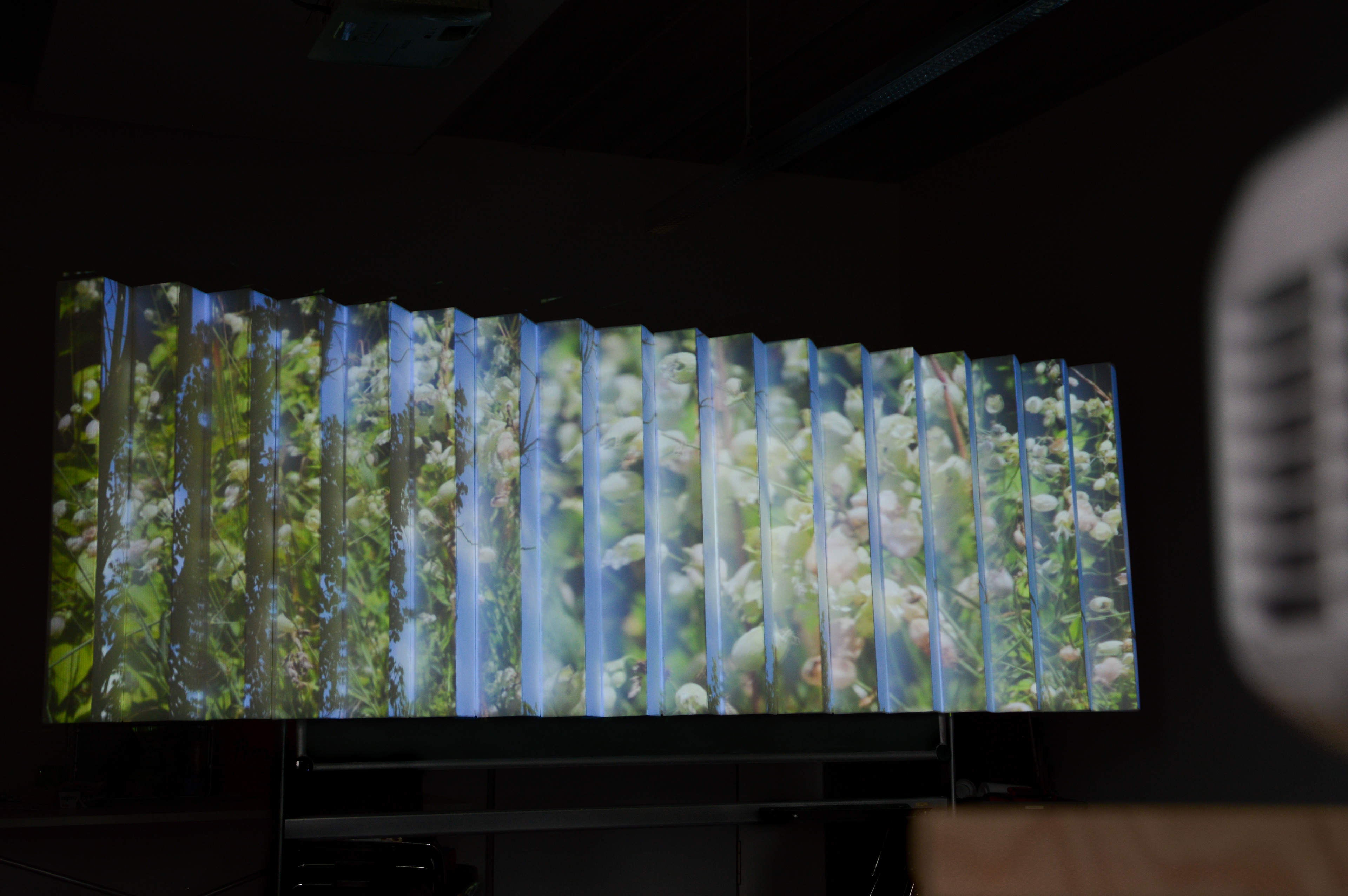Two images visible at the same time